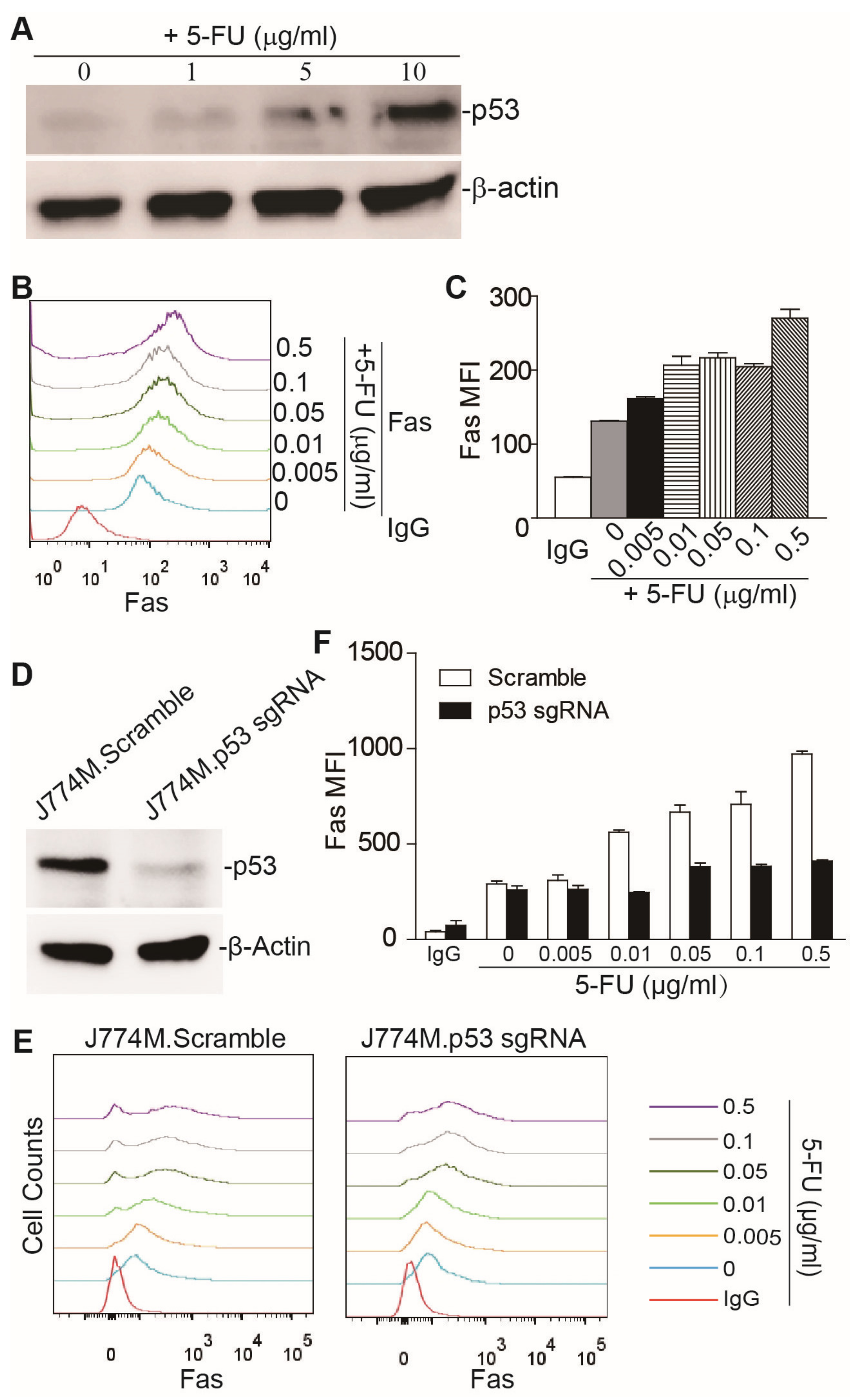 Cancers 15 01563 g001