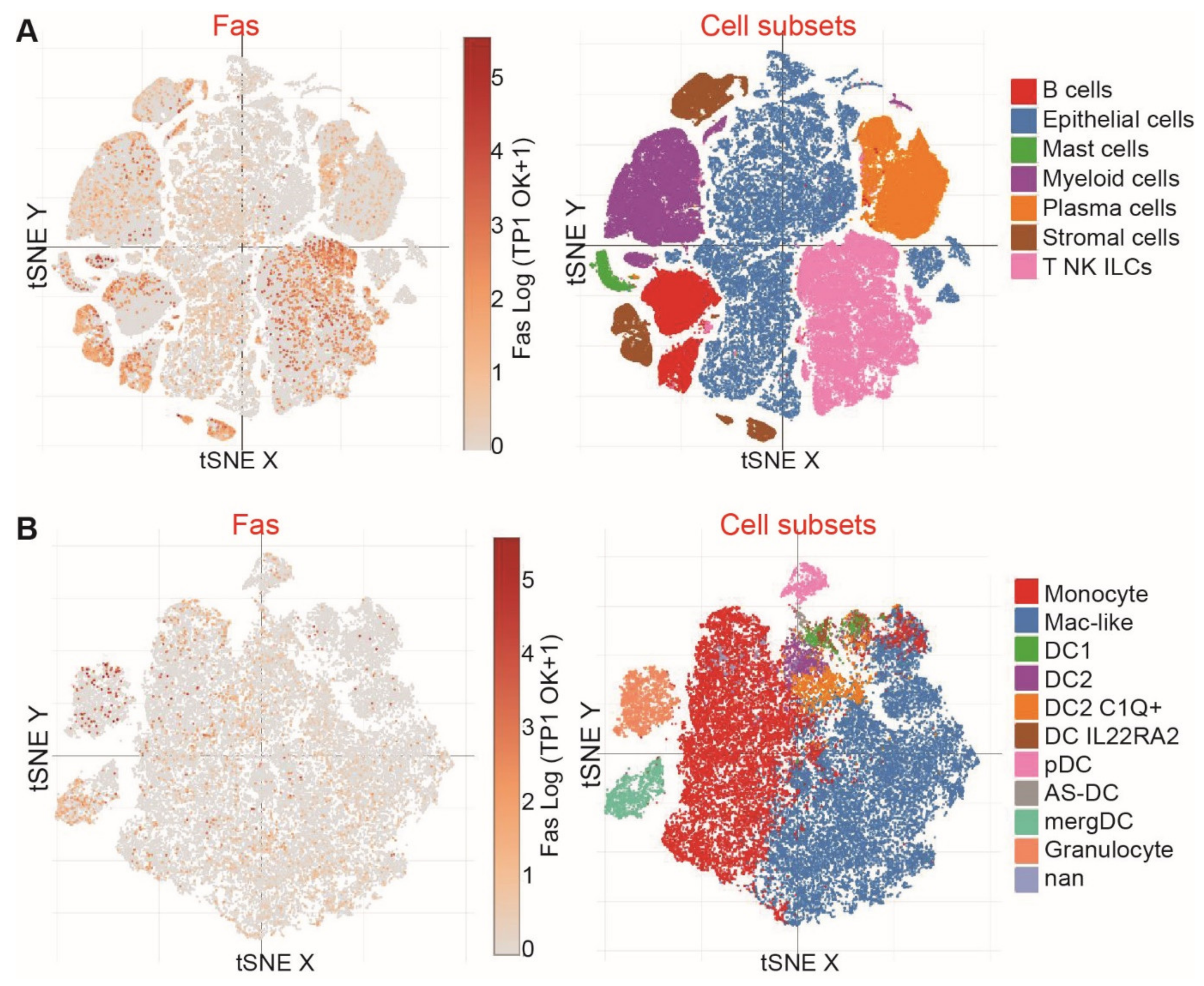 Cancers 15 01563 g005