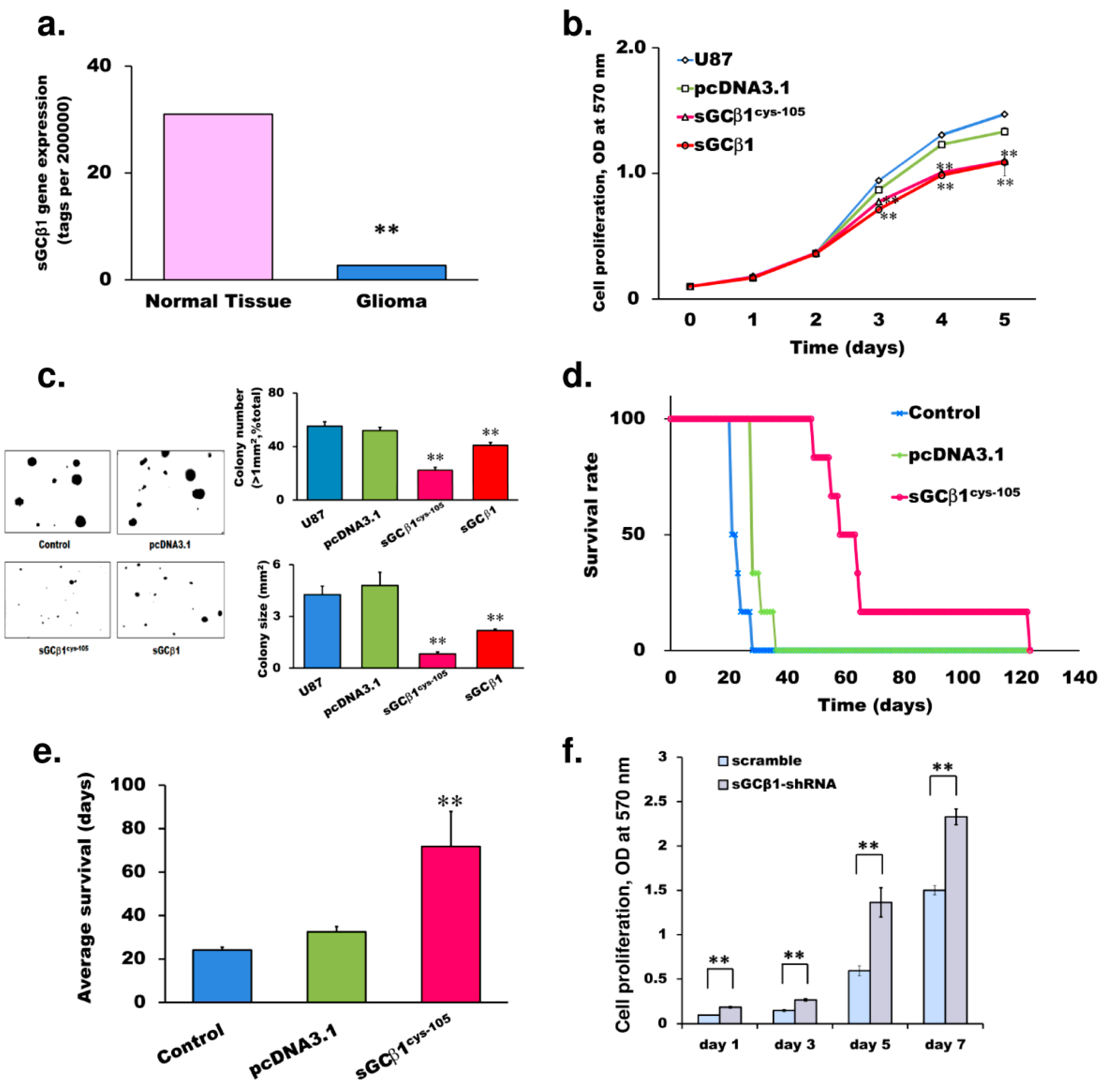 Cancers 15 01567 g001