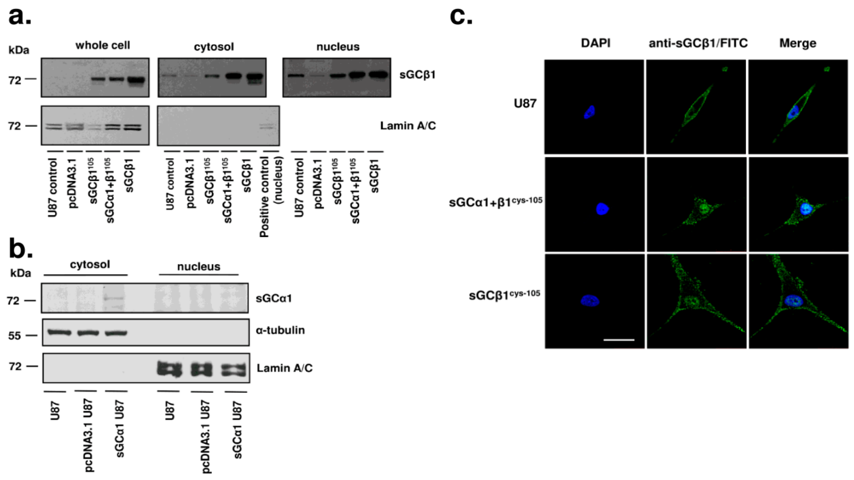 Cancers 15 01567 g004