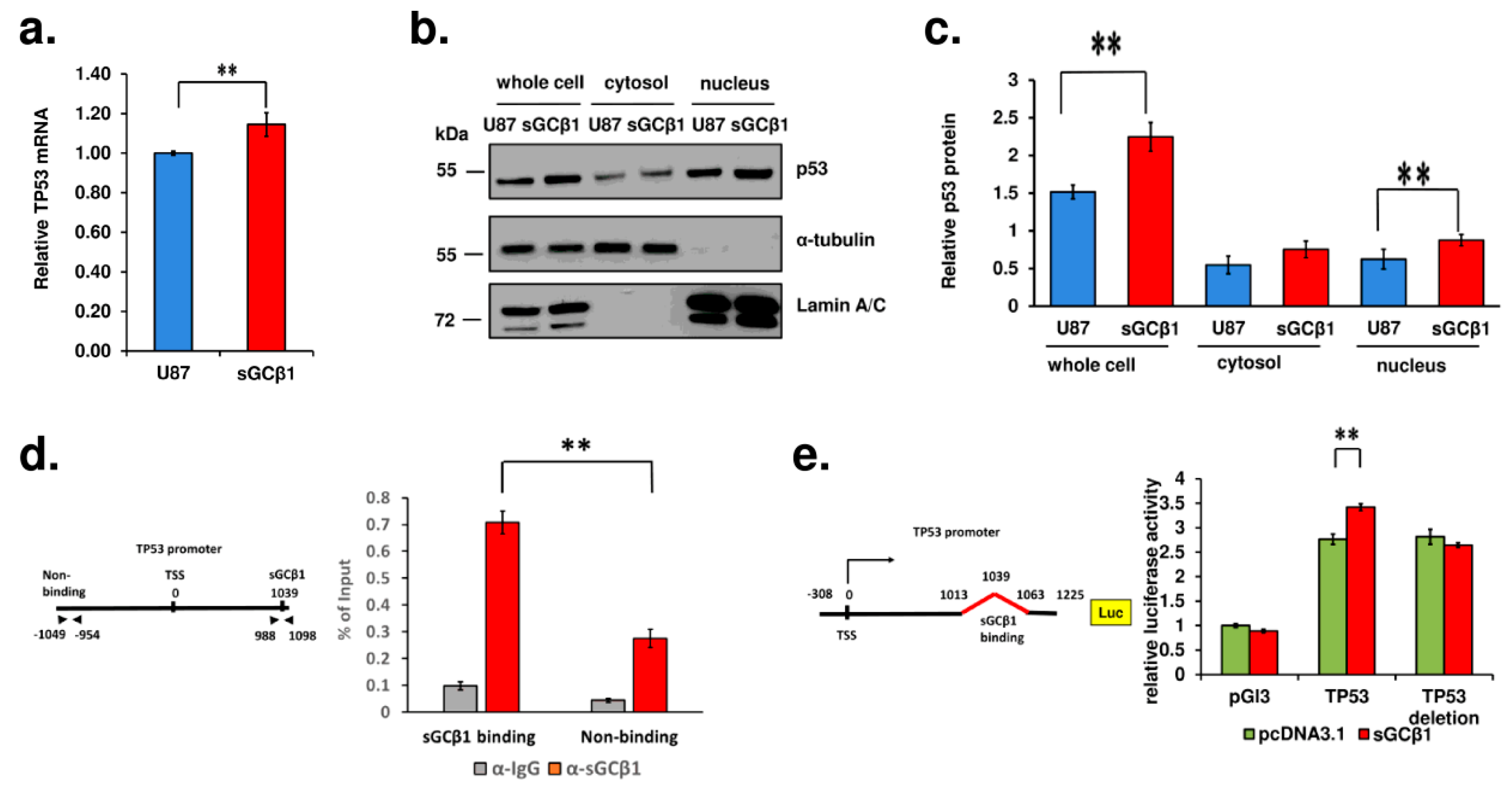 Cancers 15 01567 g005