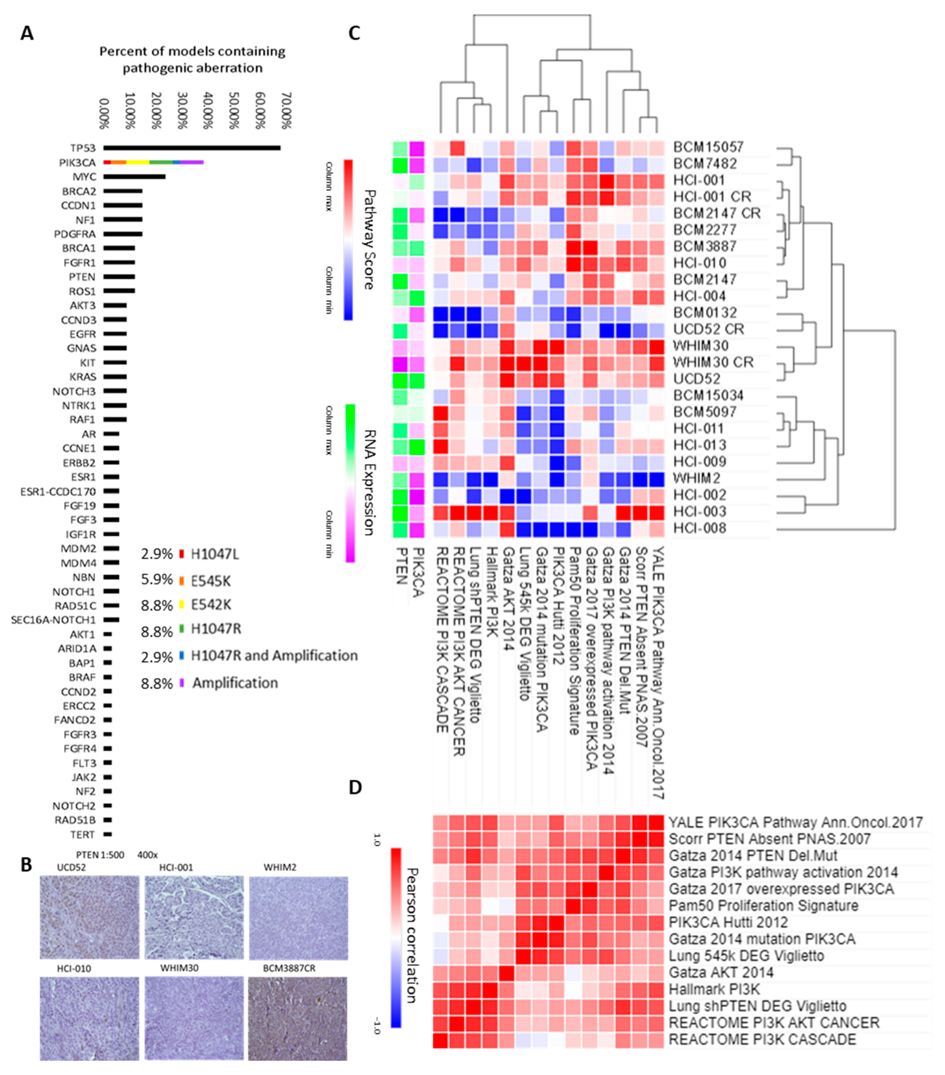 Cancers 15 01582 g001