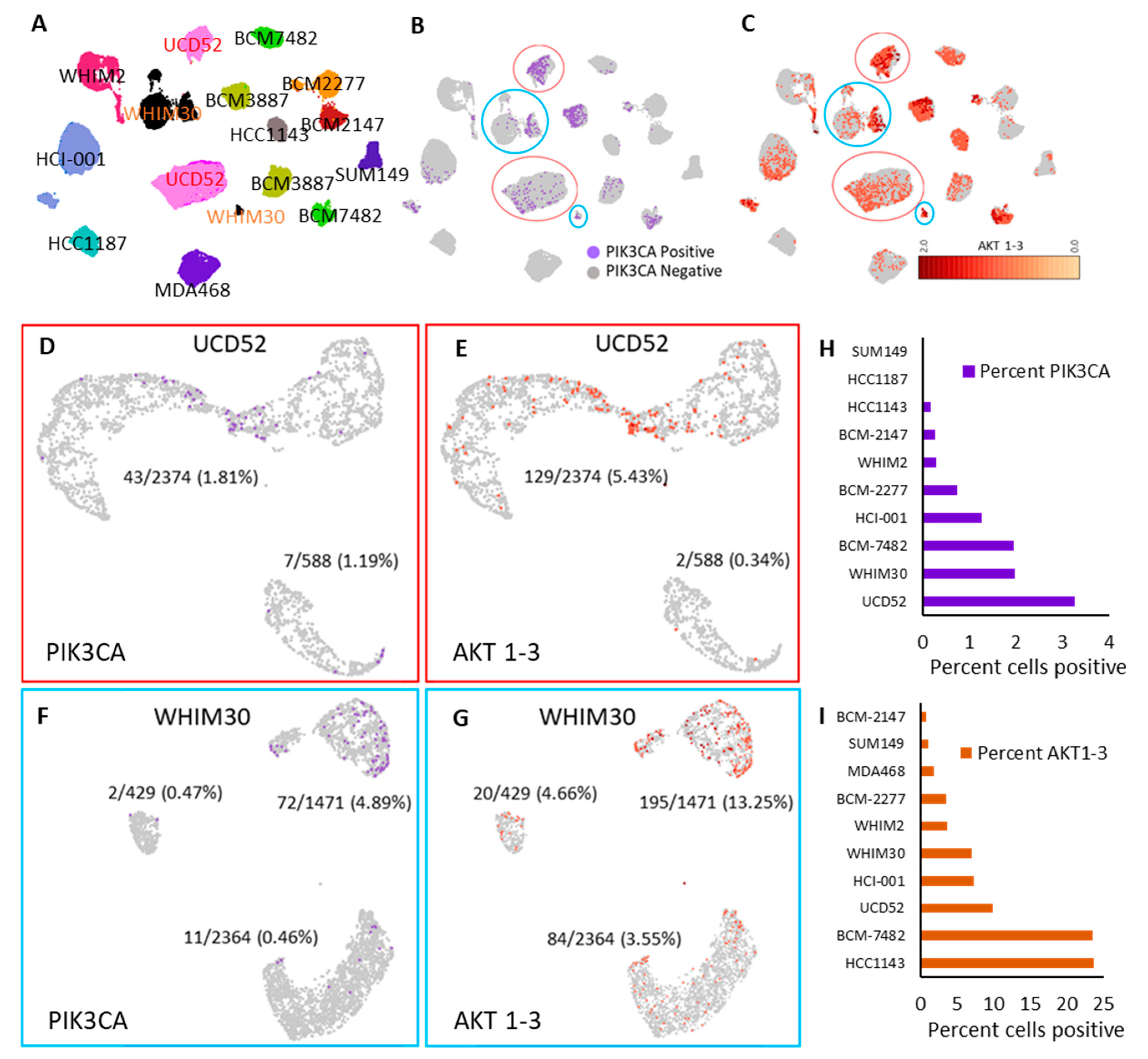 Cancers 15 01582 g002