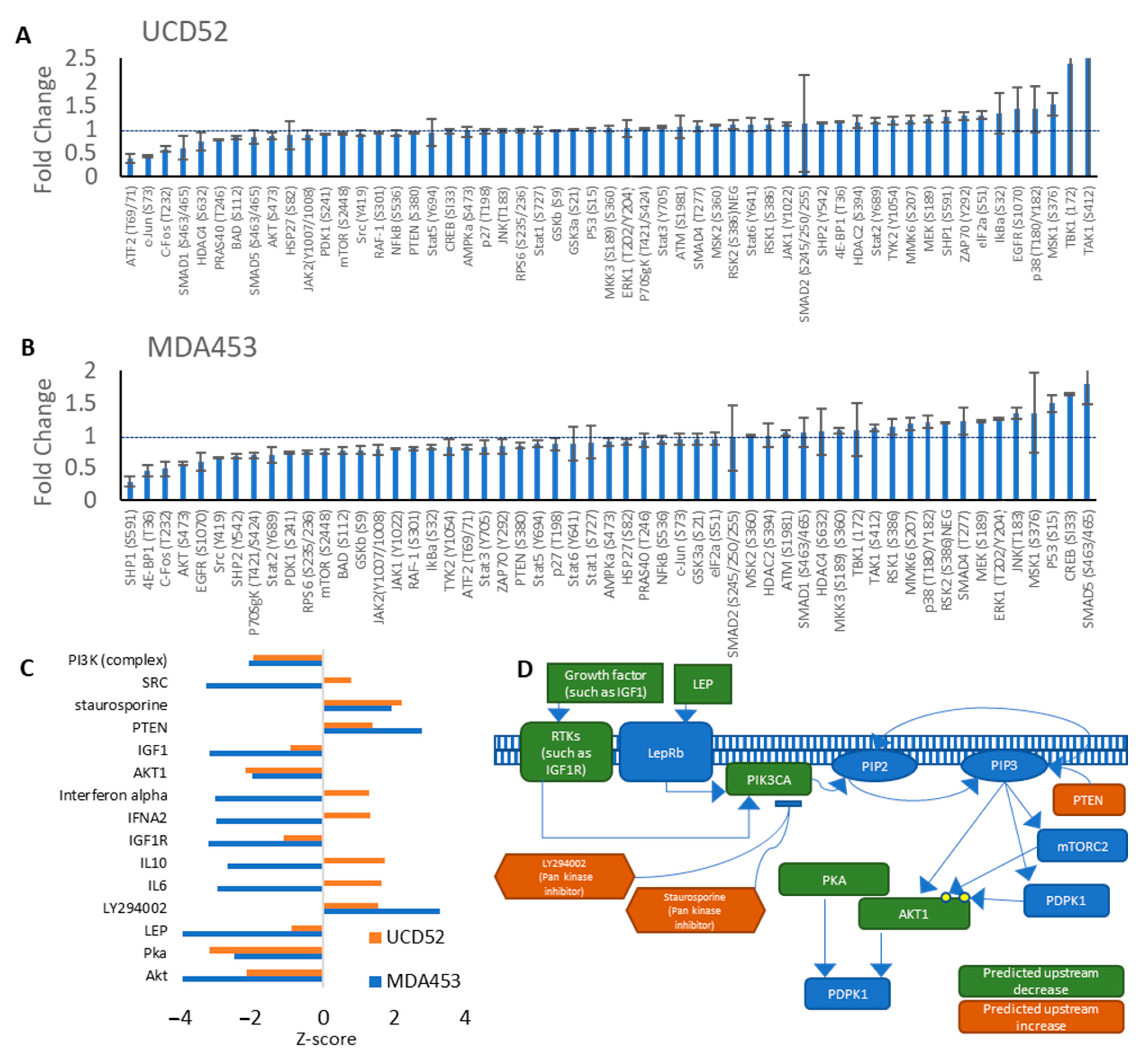 Cancers 15 01582 g004