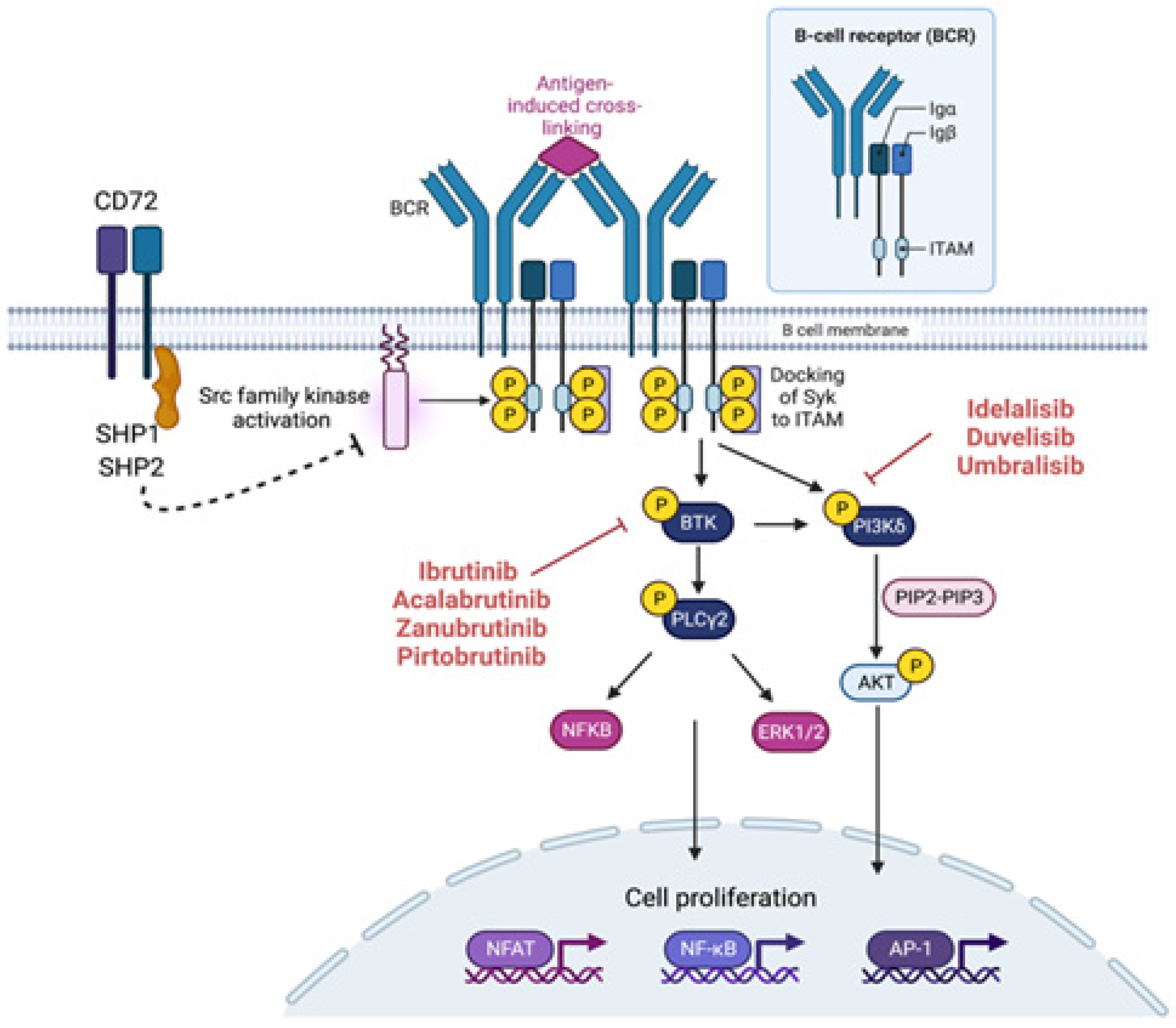 Cancers 15 01583 g001 Cancers 15 01583 g001