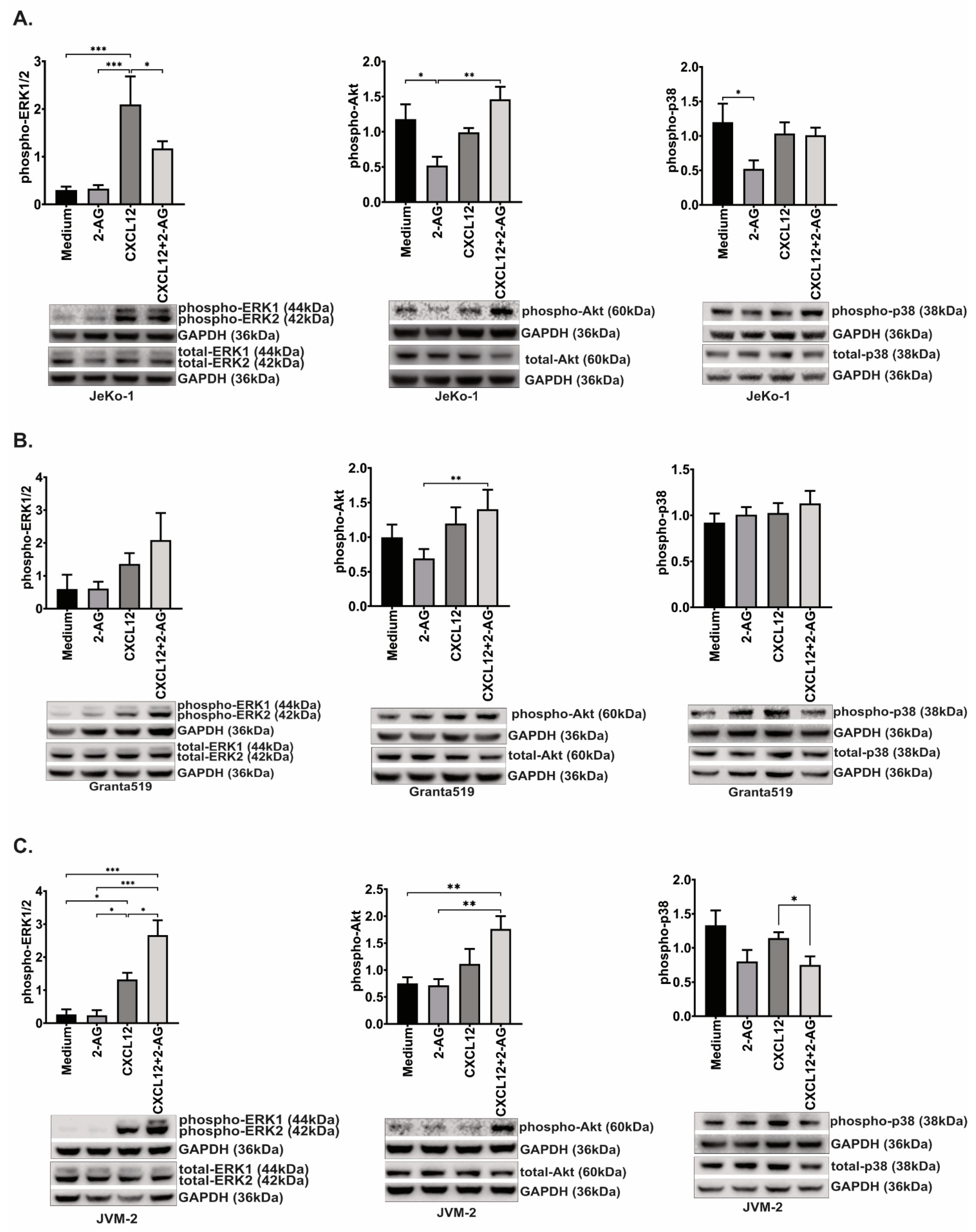 Cancers 15 01585 g007 Cancers 15 01585 g007