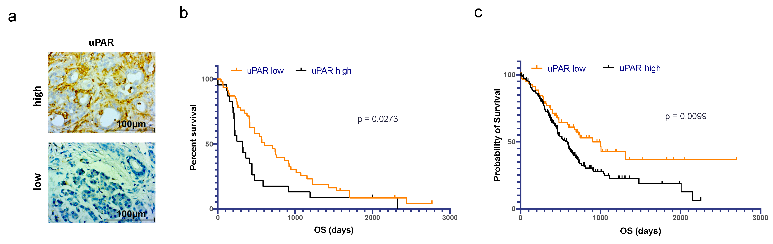 Cancers 15 01587 g001