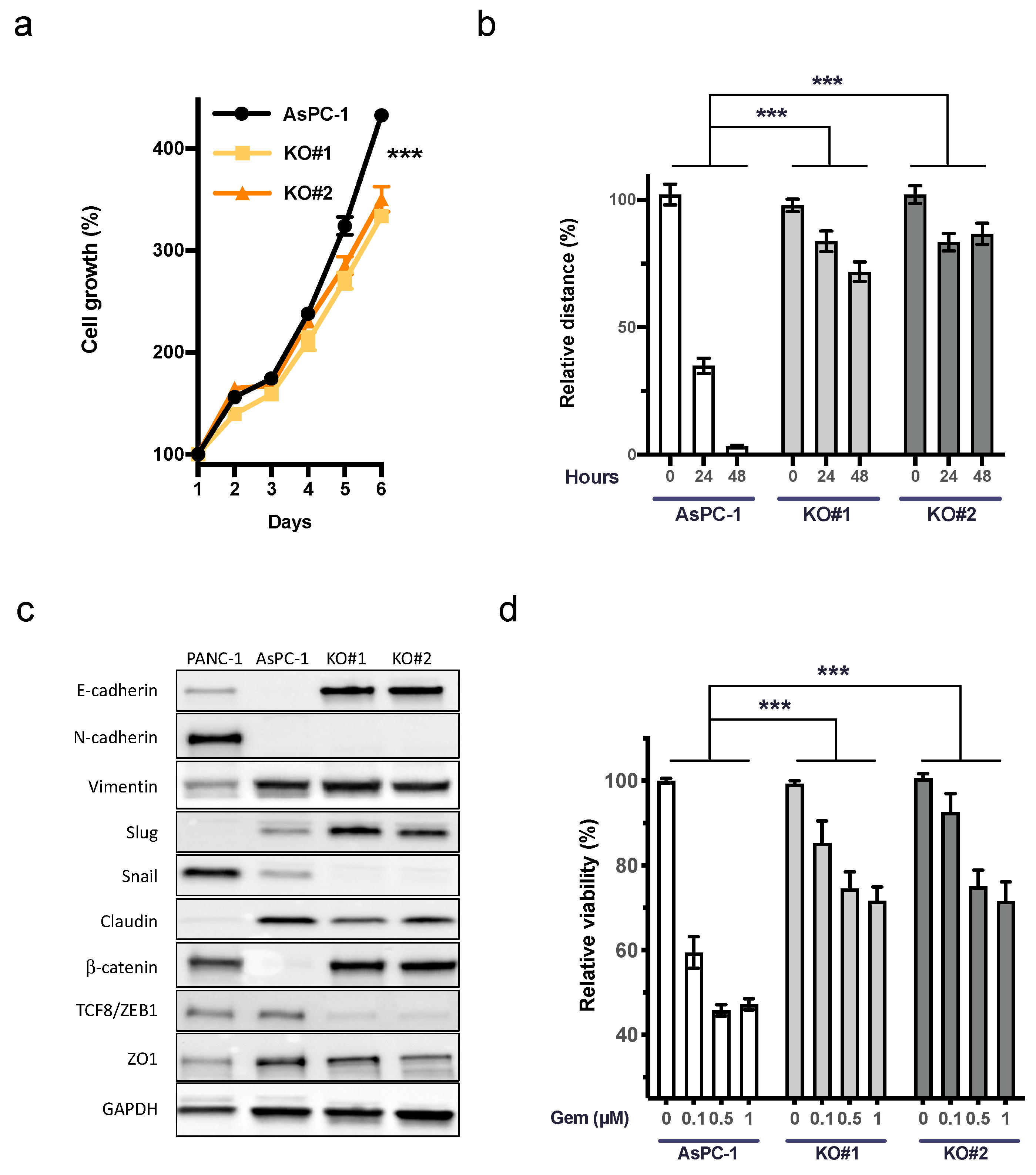 Cancers 15 01587 g002