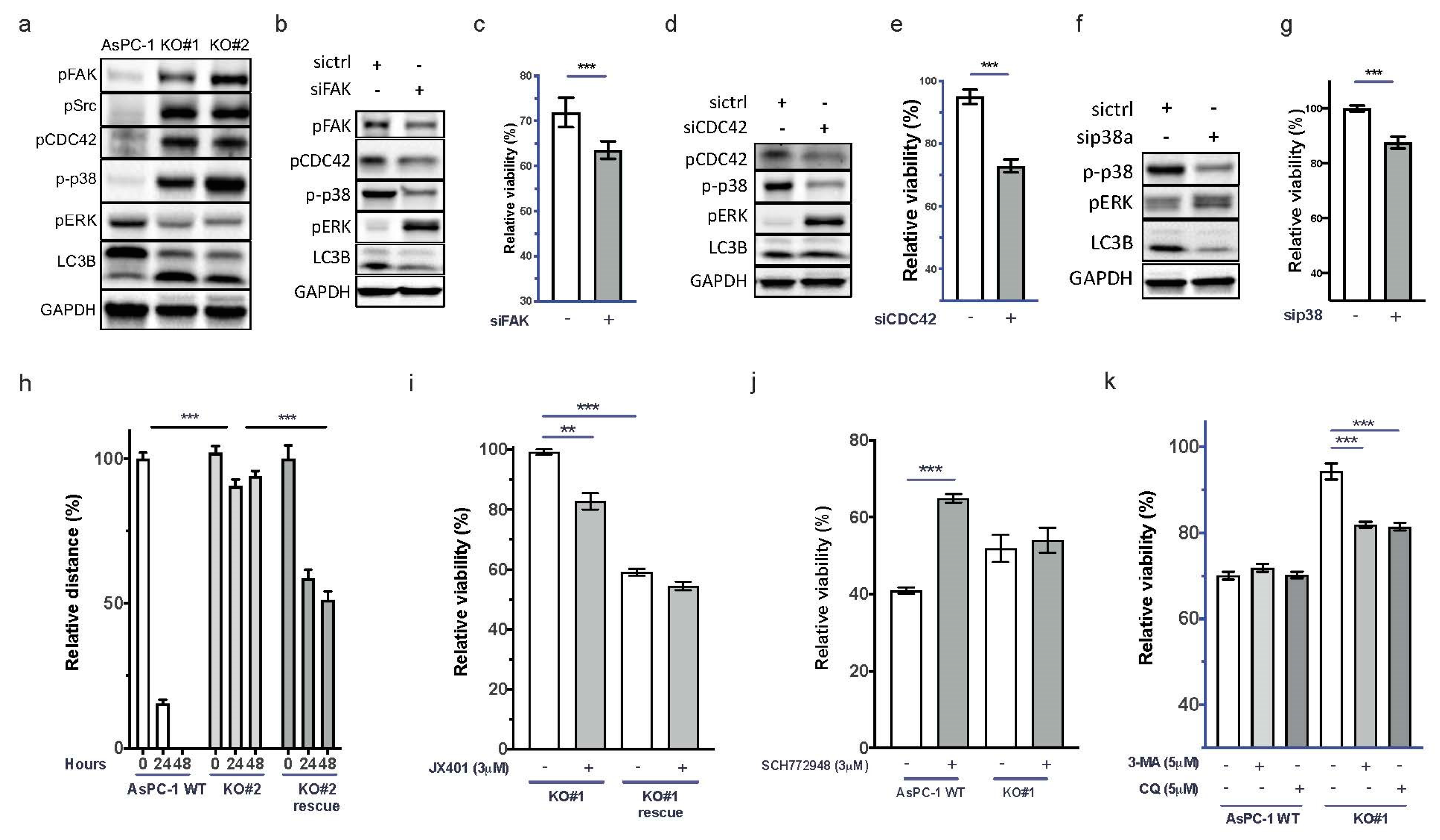 Cancers 15 01587 g003