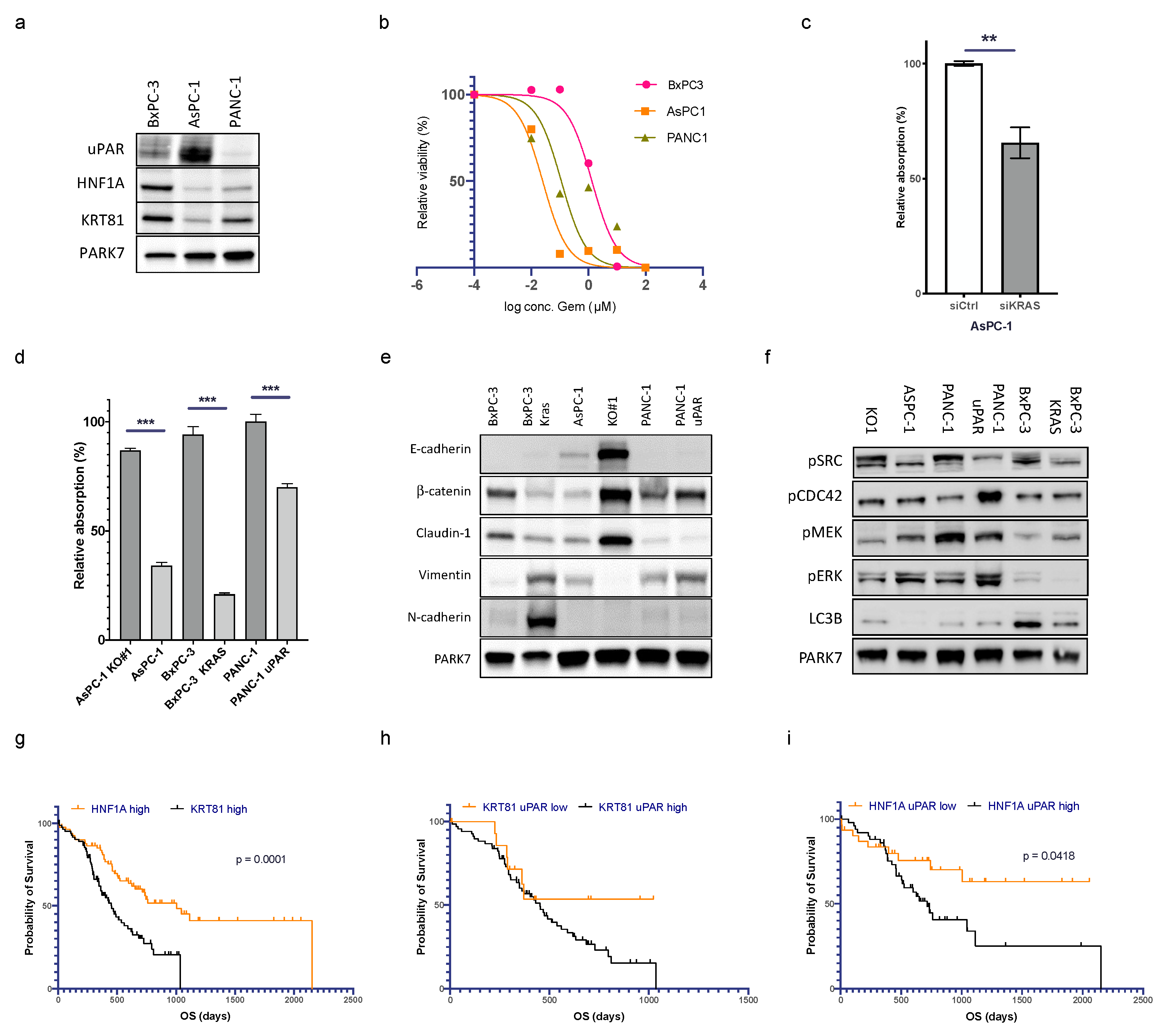 Cancers 15 01587 g004