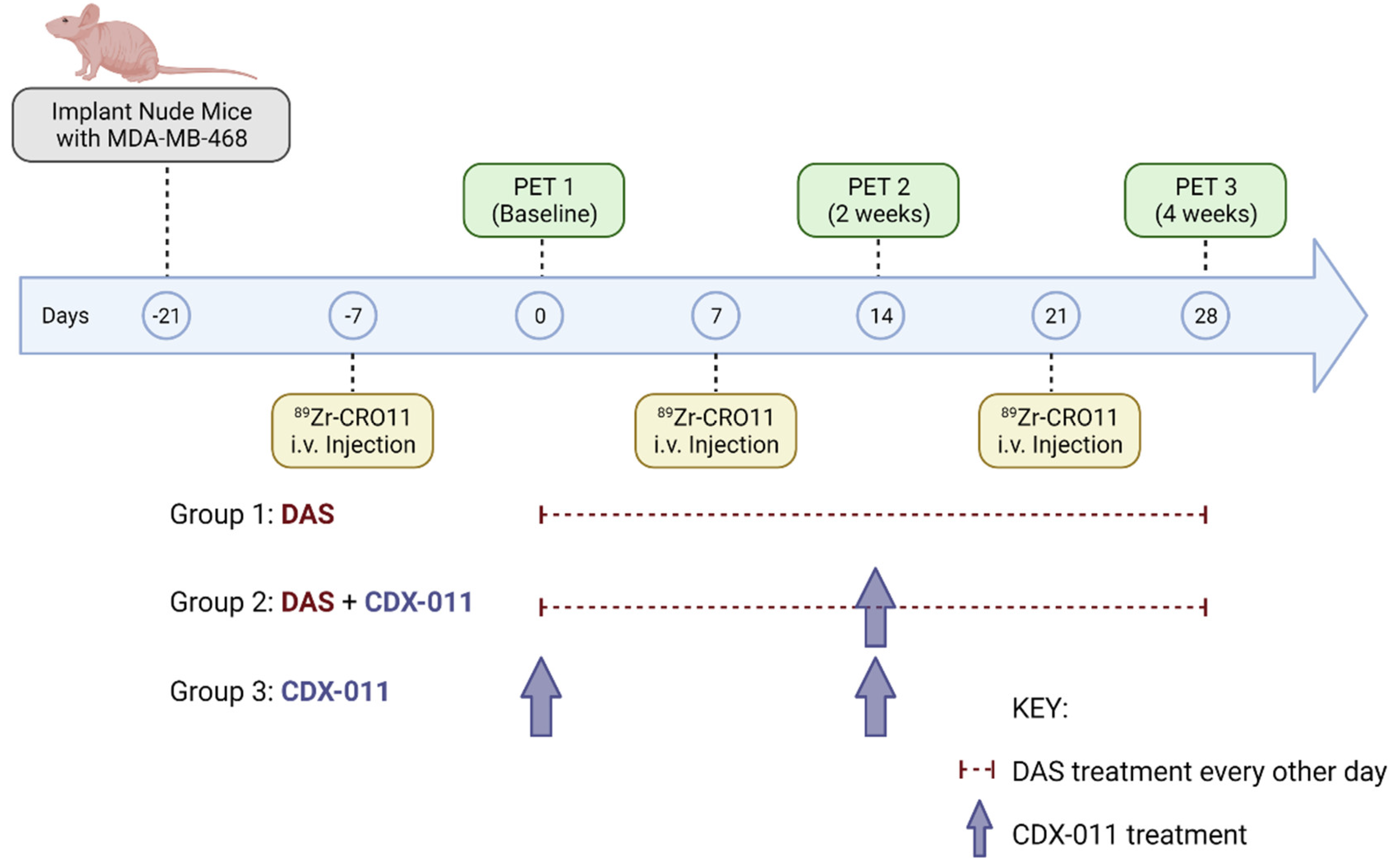 Cancers 15 01589 g001