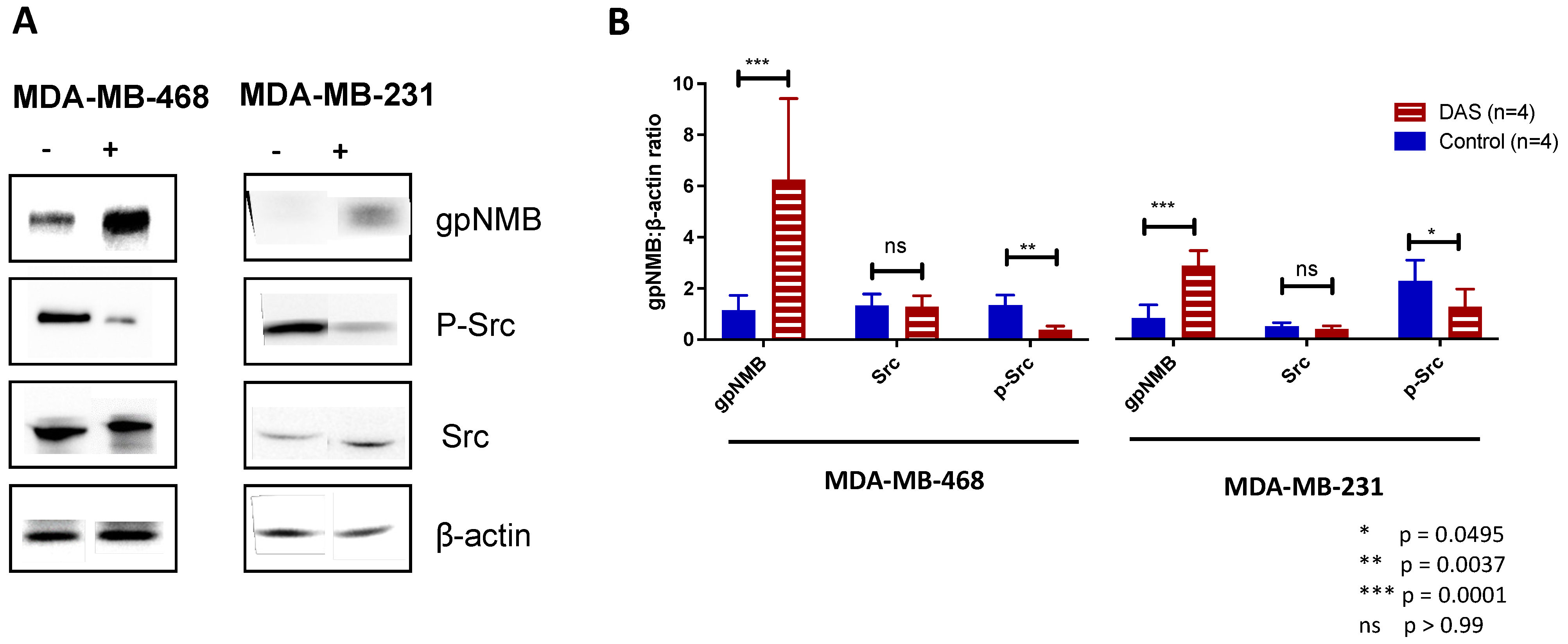 Cancers 15 01589 g003