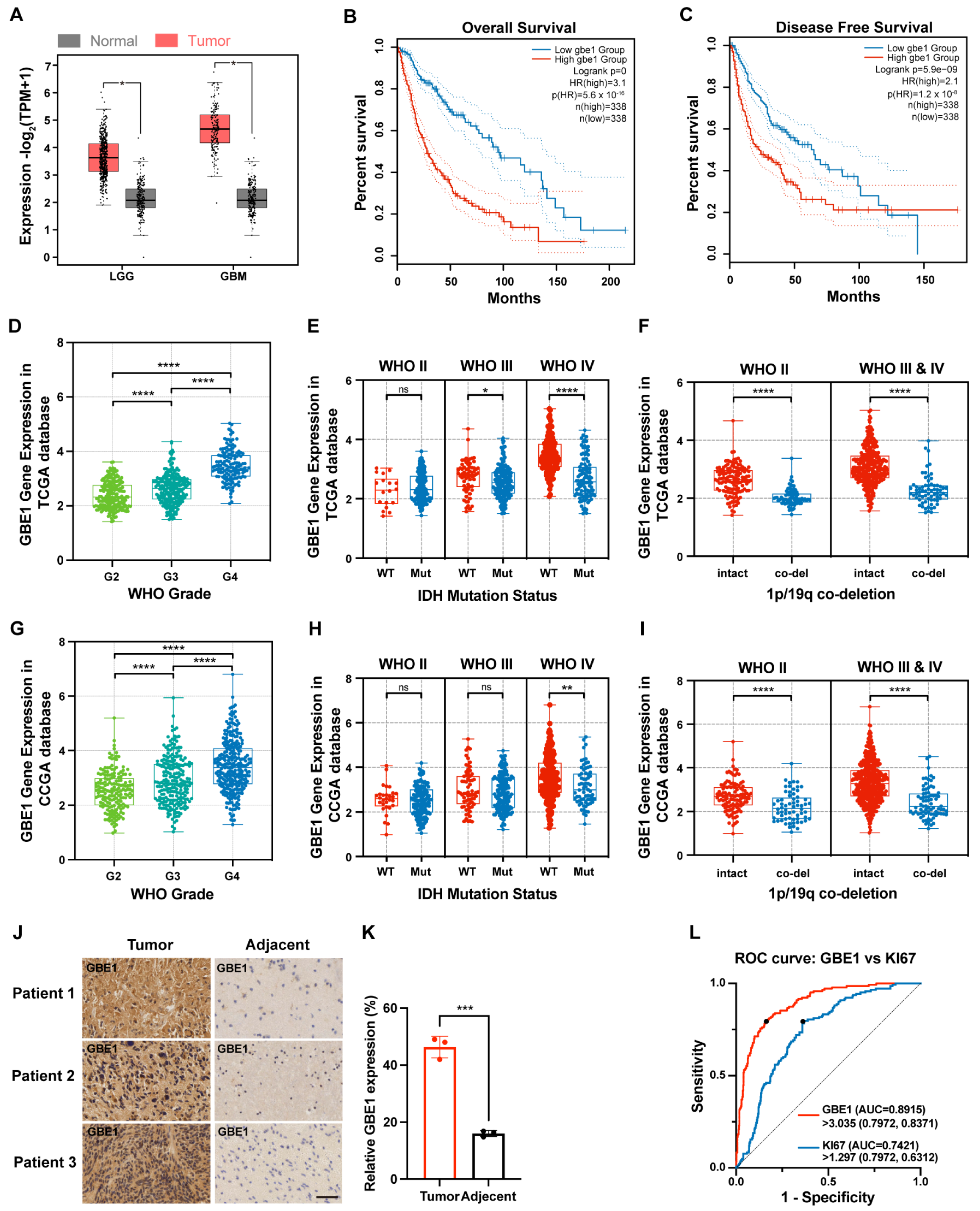 Cancers 15 01594 g001