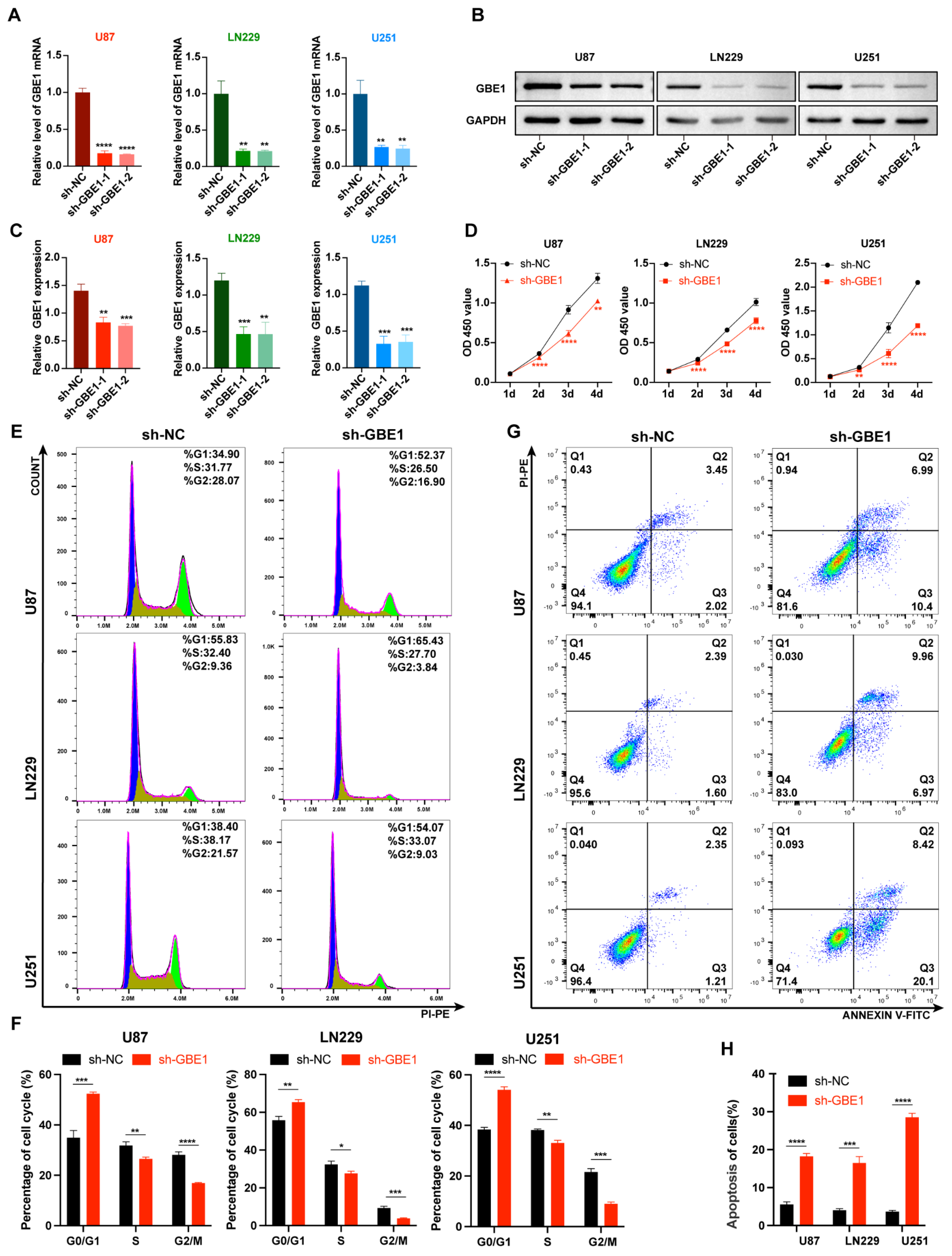 Cancers 15 01594 g002