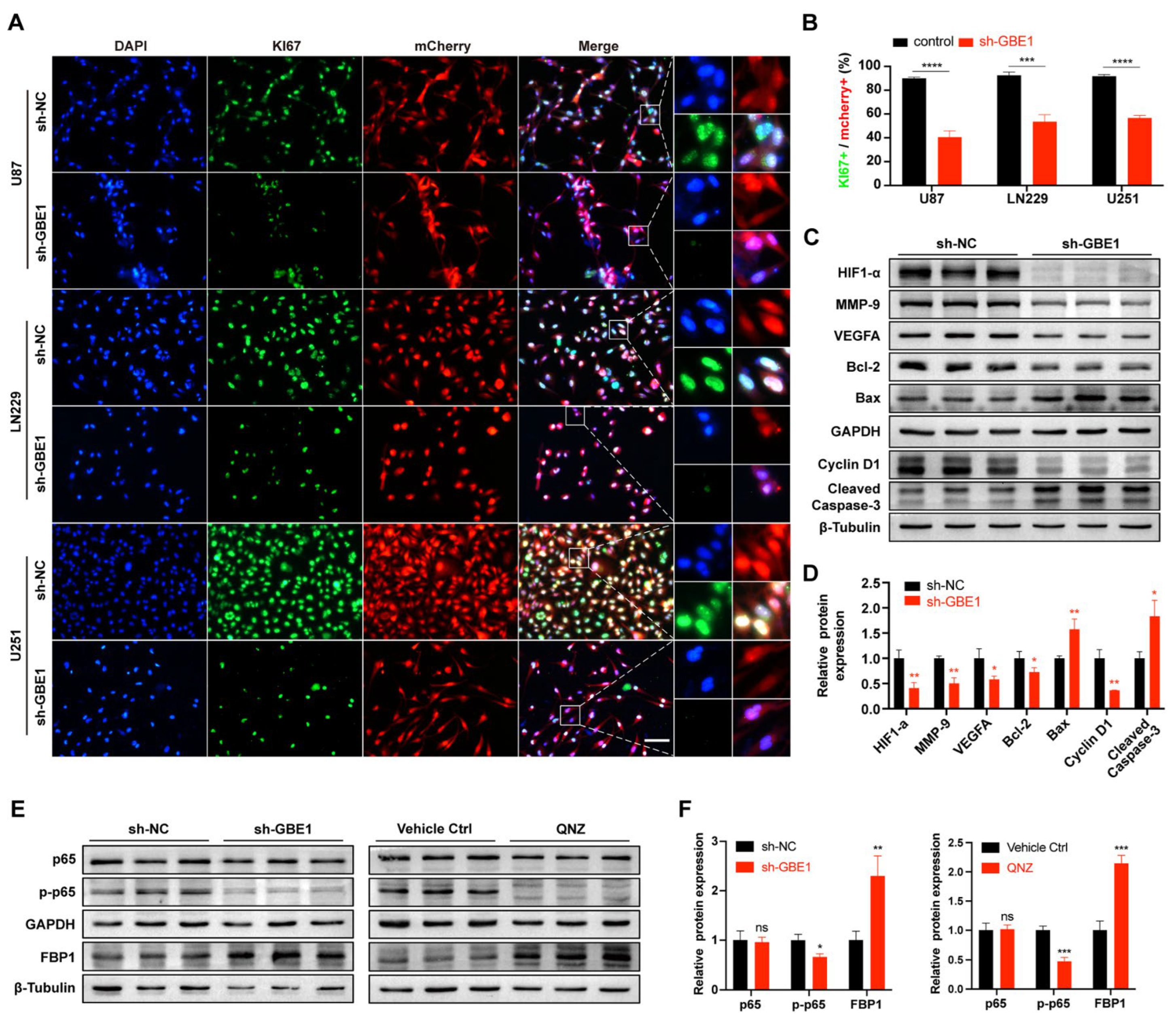 Cancers 15 01594 g004