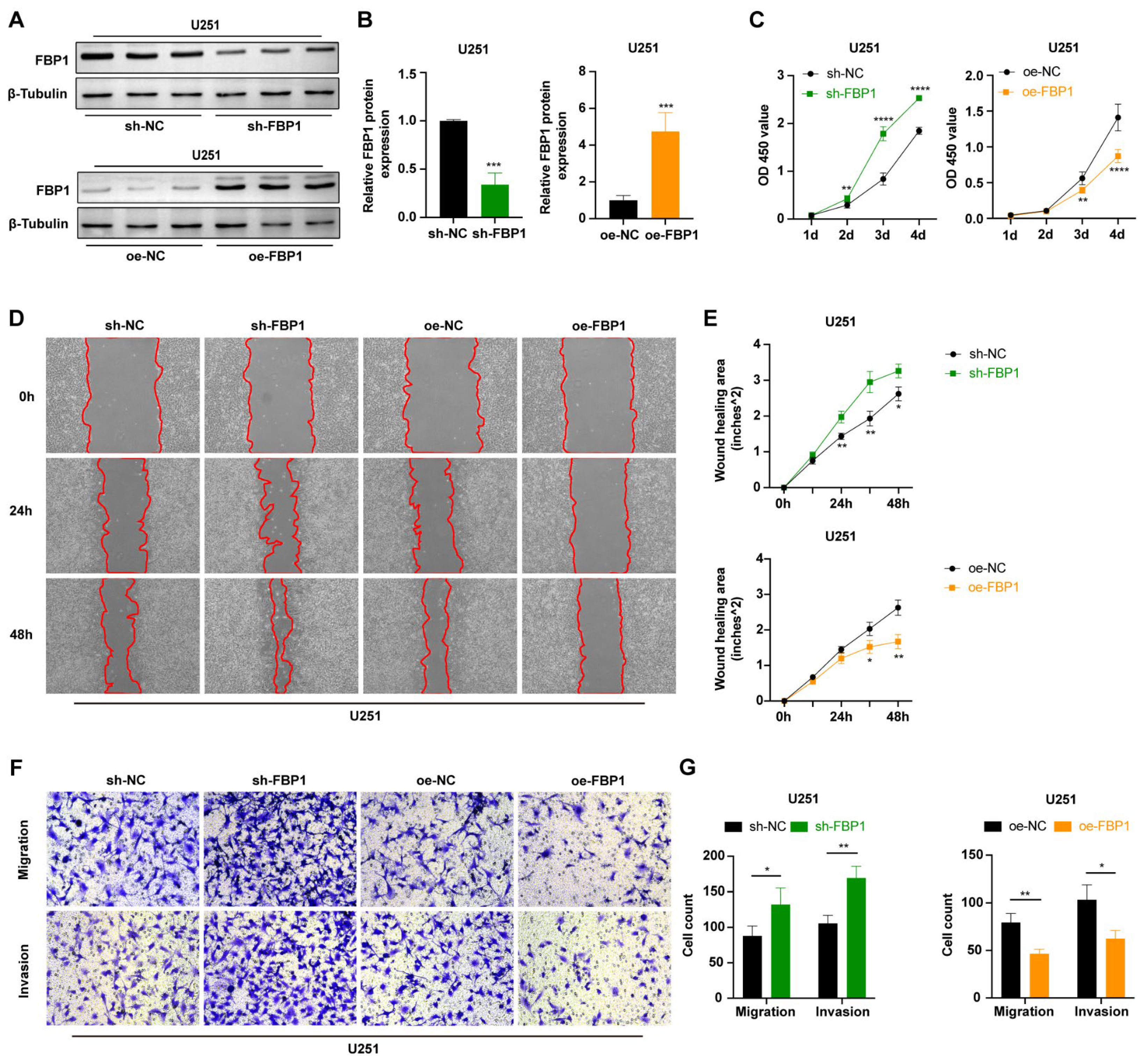 Cancers 15 01594 g005