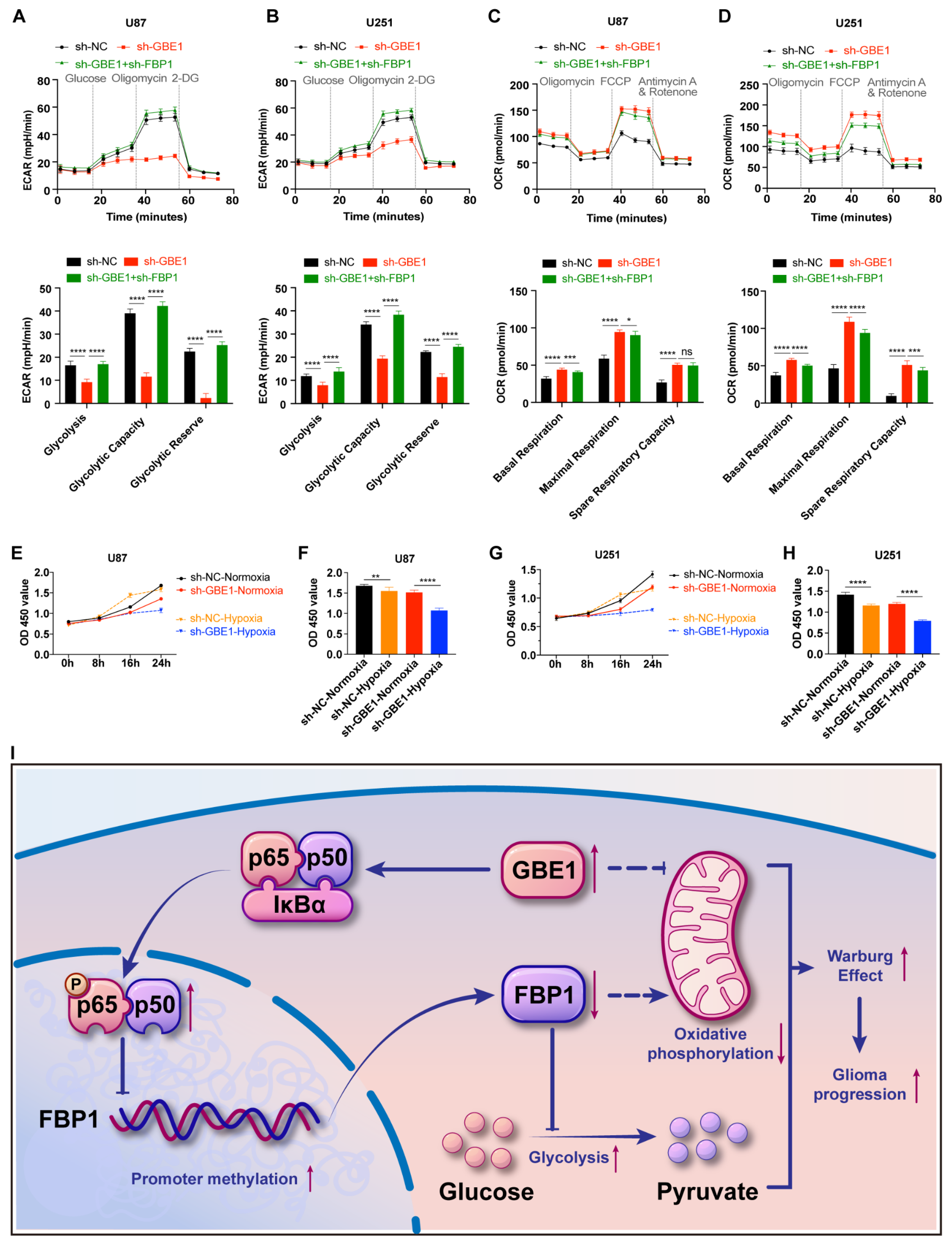 Cancers 15 01594 g007