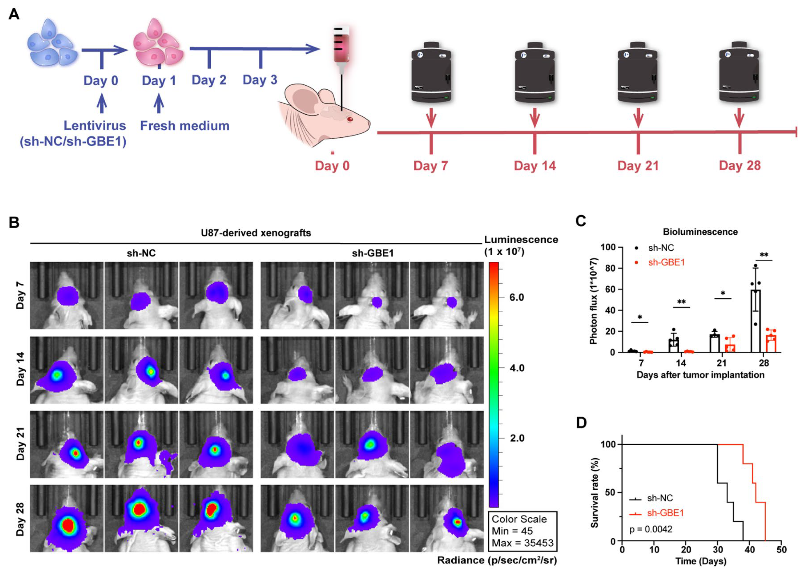 Cancers 15 01594 g008
