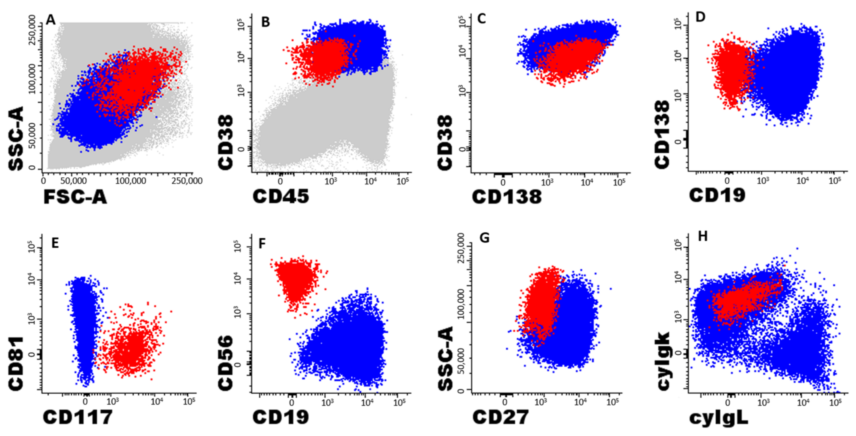 Cancers 15 01605 g001