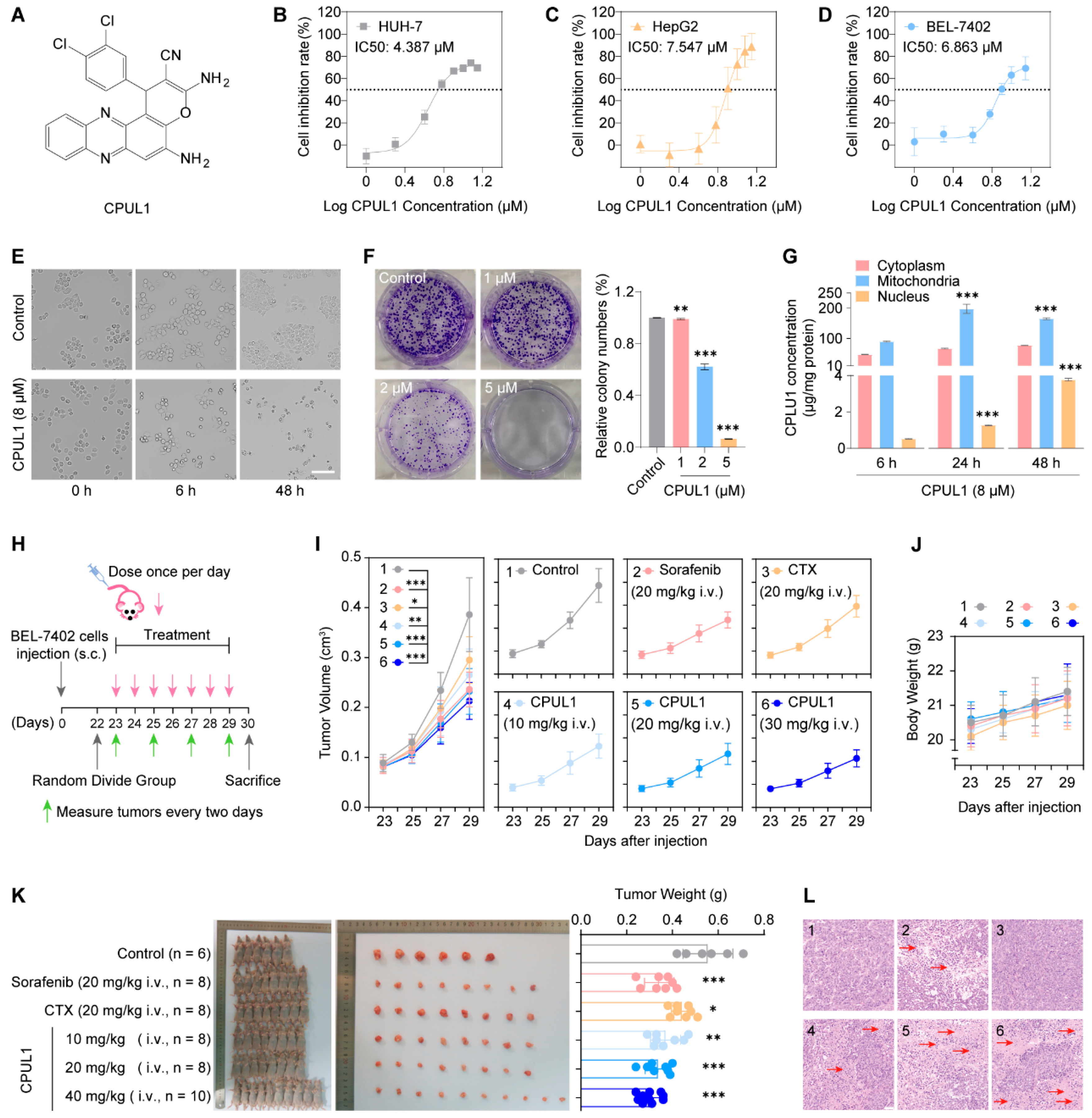 Cancers 15 01607 g001
