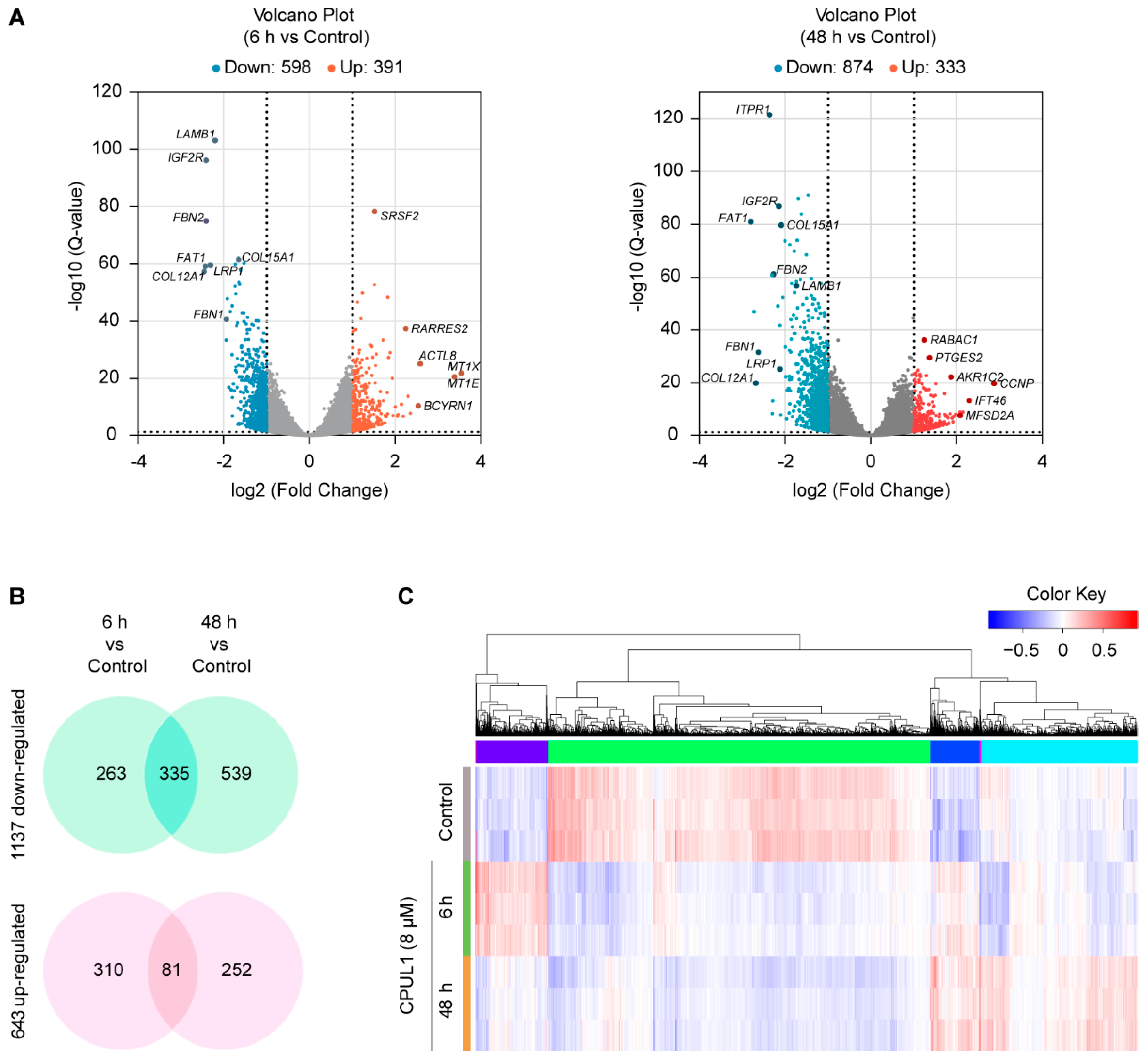 Cancers 15 01607 g002