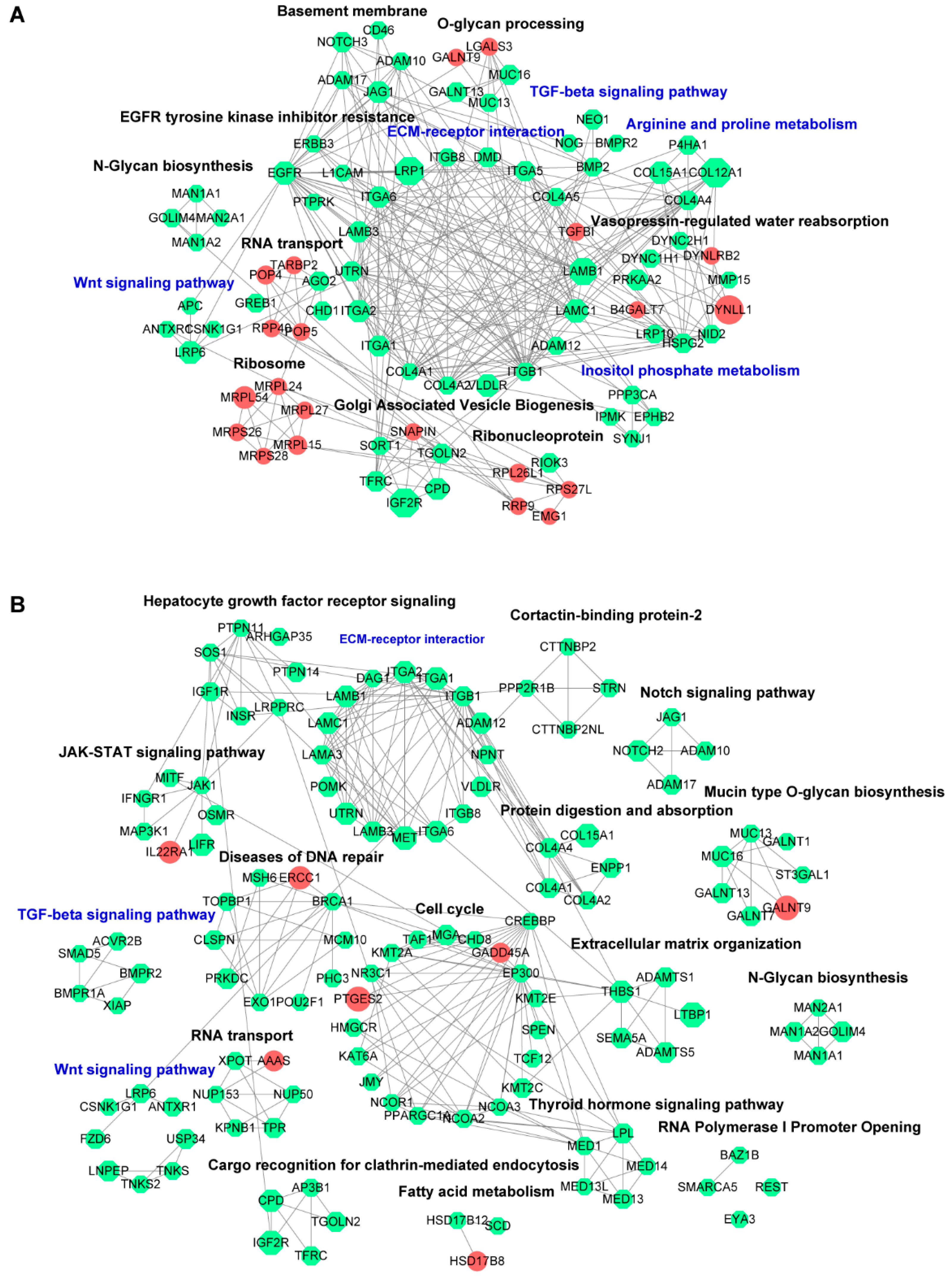 Cancers 15 01607 g004