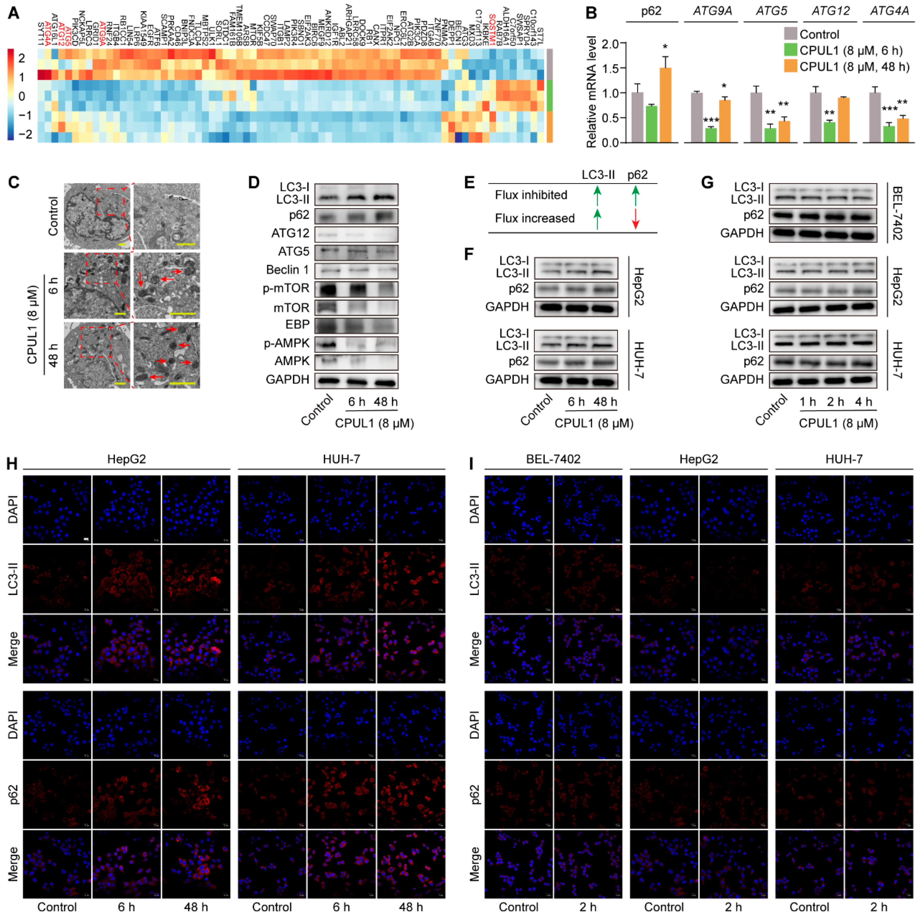 Cancers 15 01607 g008