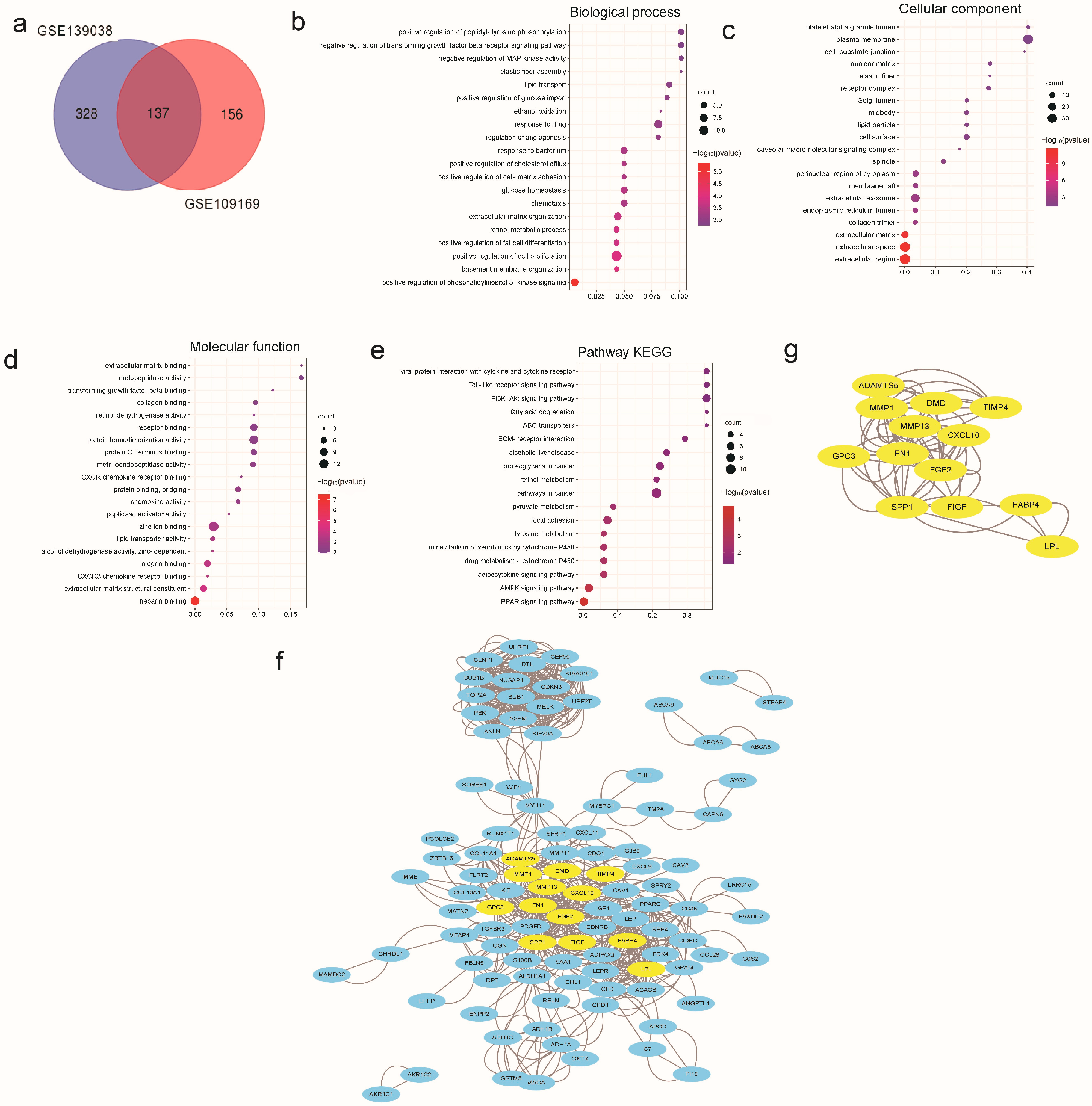 Cancers 15 01614 g001