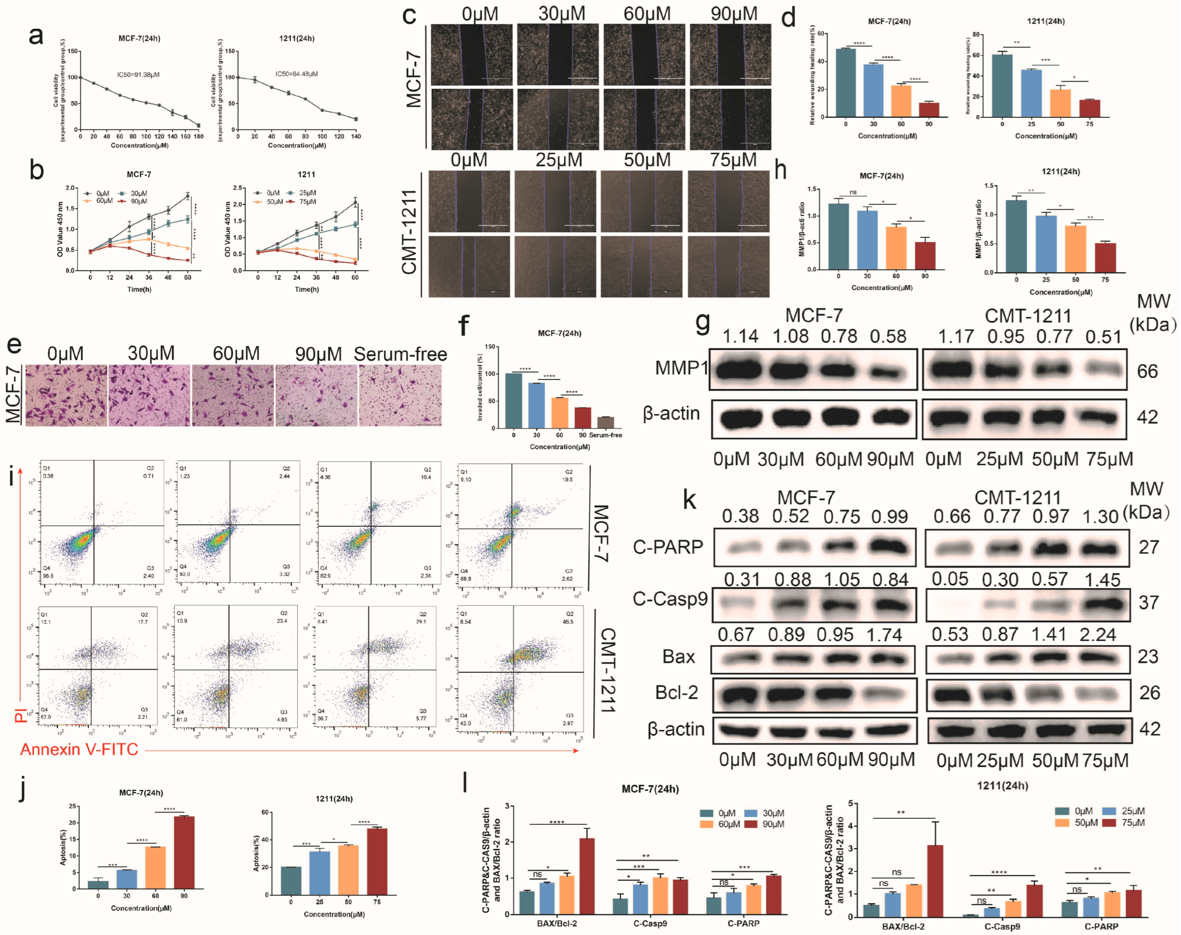 Cancers 15 01614 g003