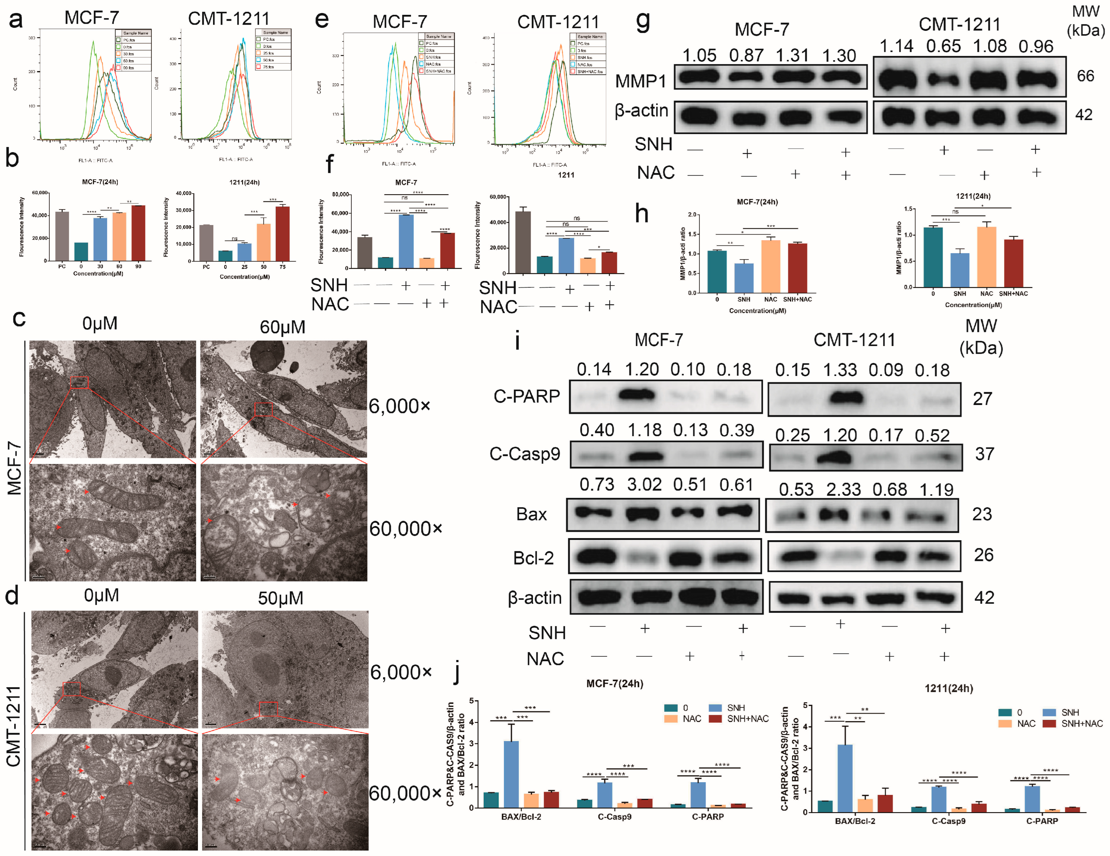 Cancers 15 01614 g004