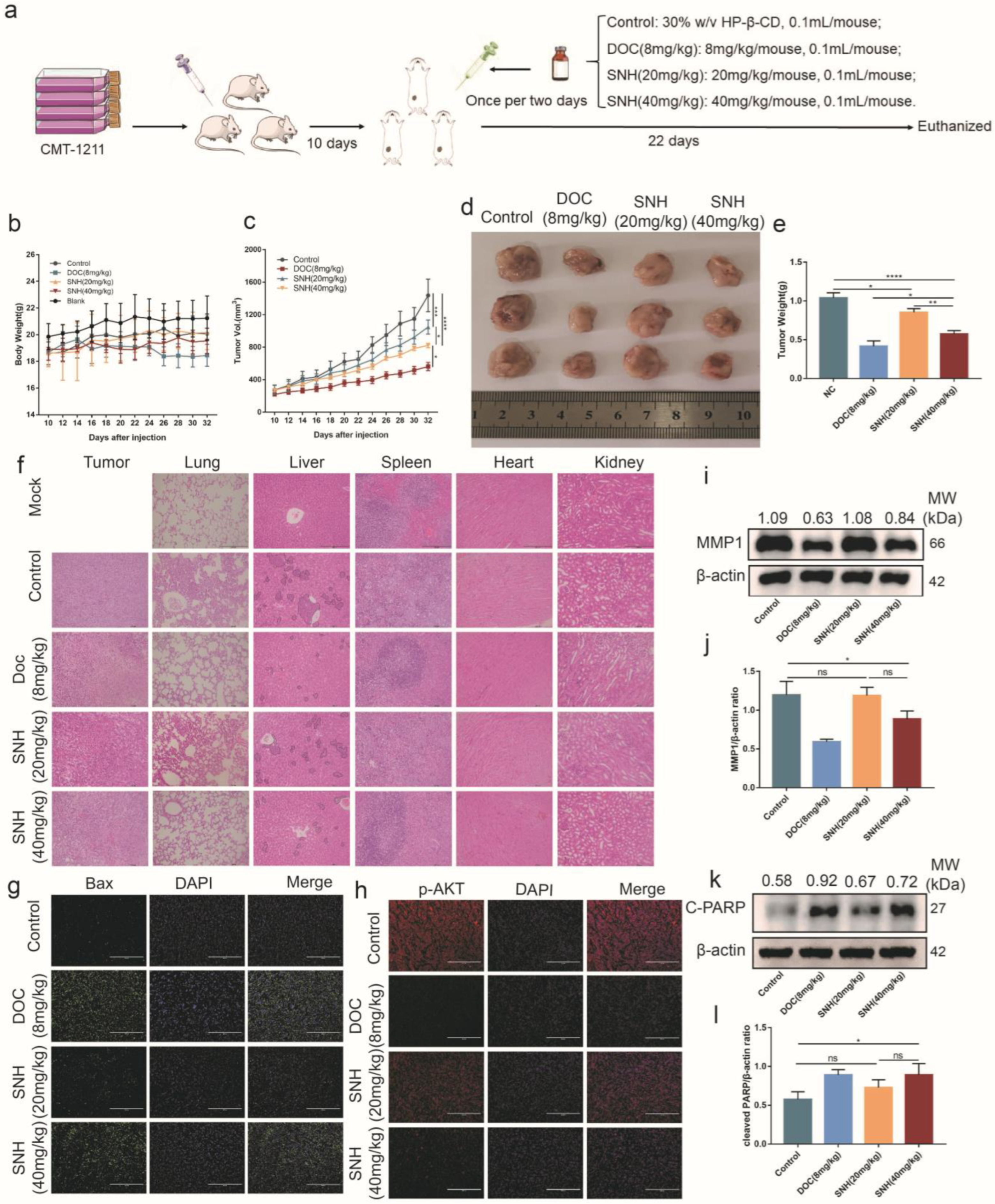 Cancers 15 01614 g006