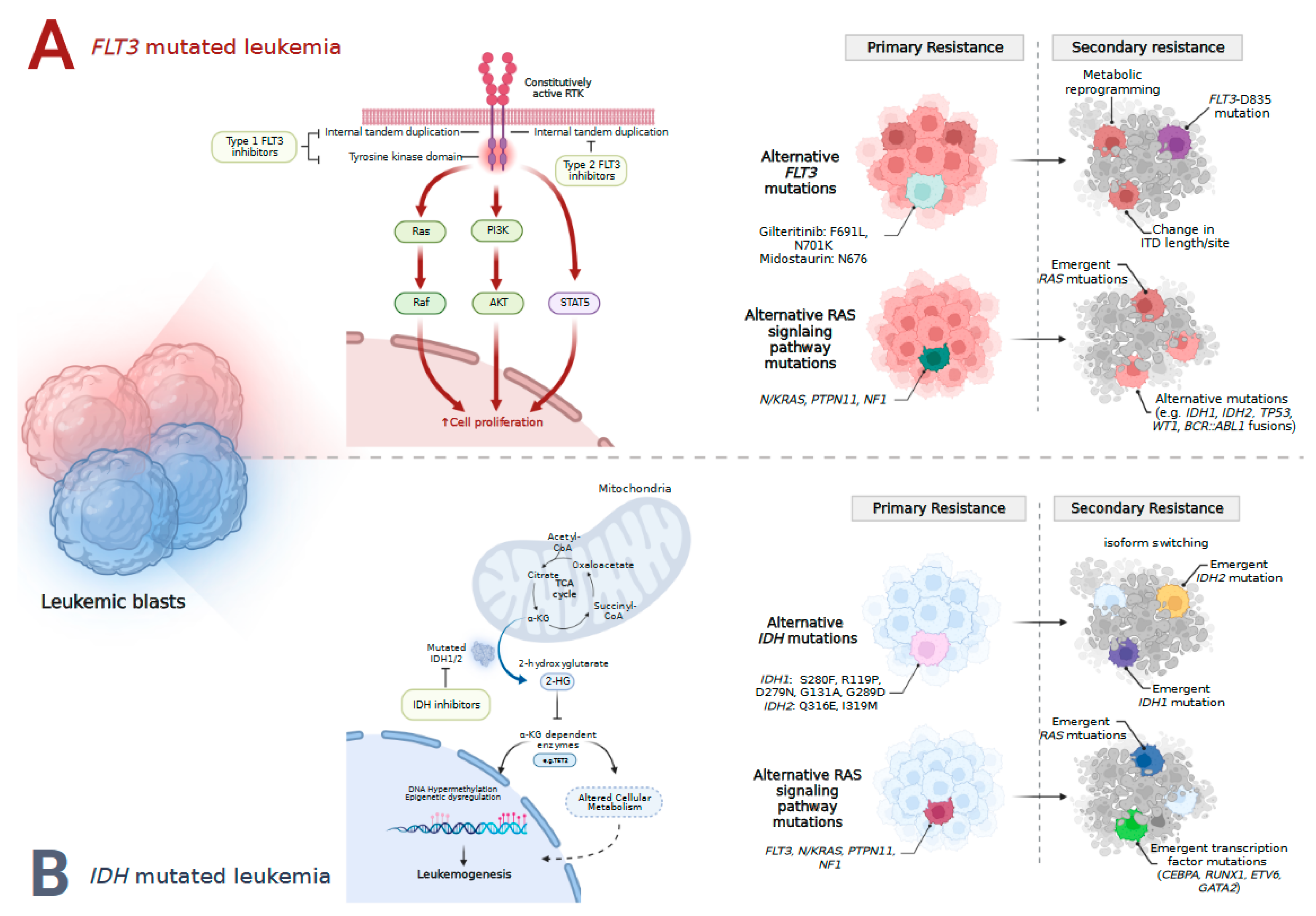 Cancers 15 01617 g002