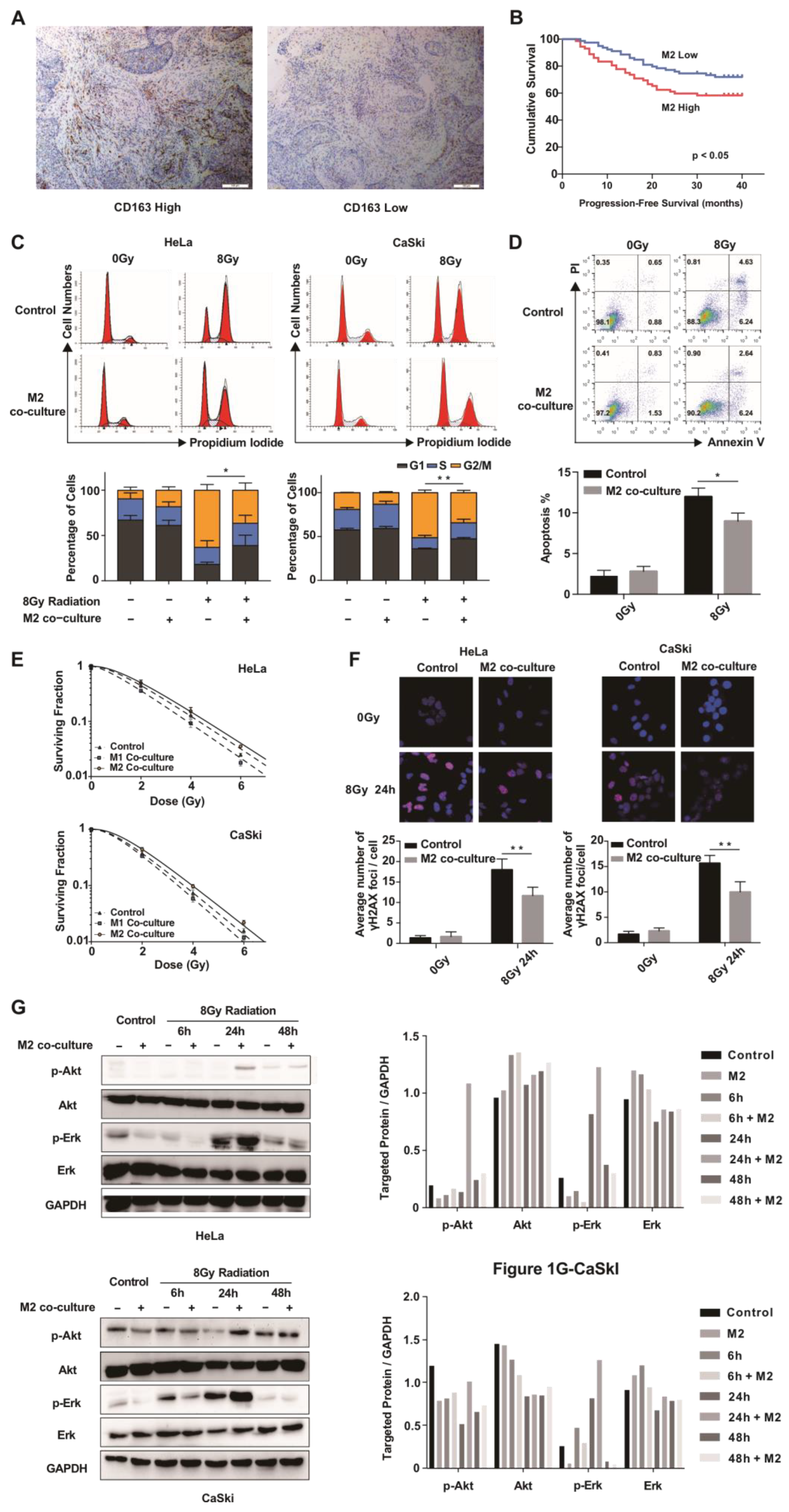 Cancers 15 01620 g001