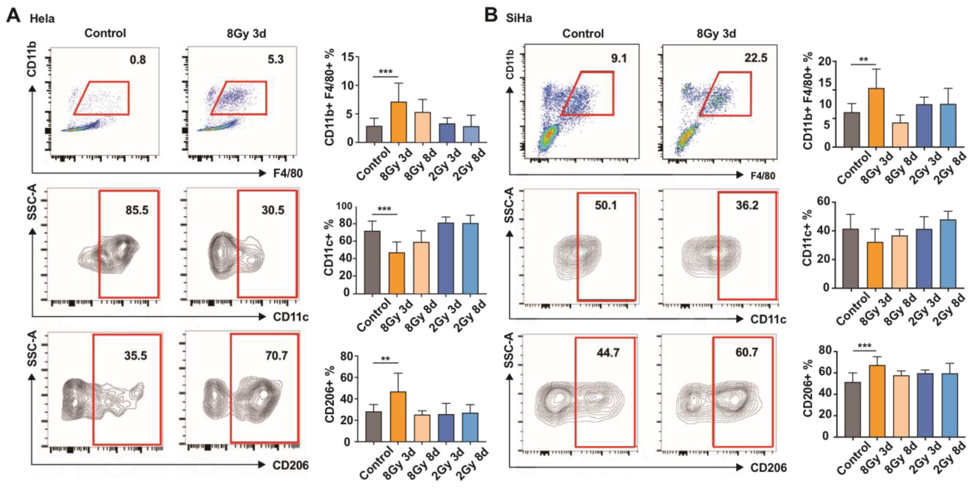 Cancers 15 01620 g002