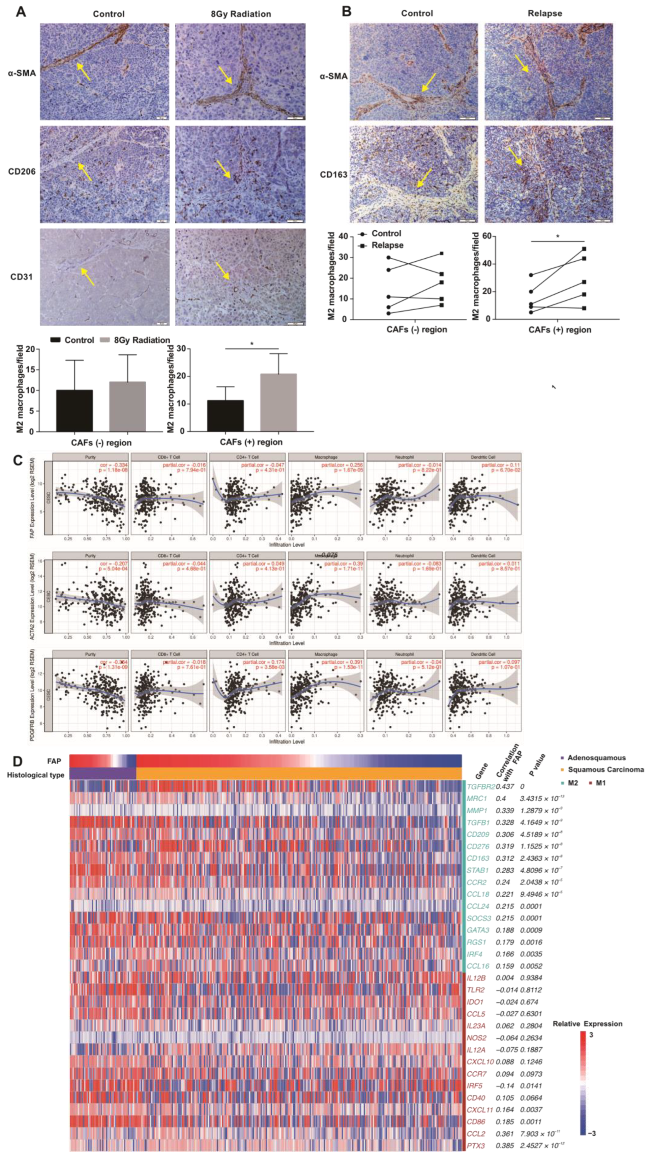 Cancers 15 01620 g003