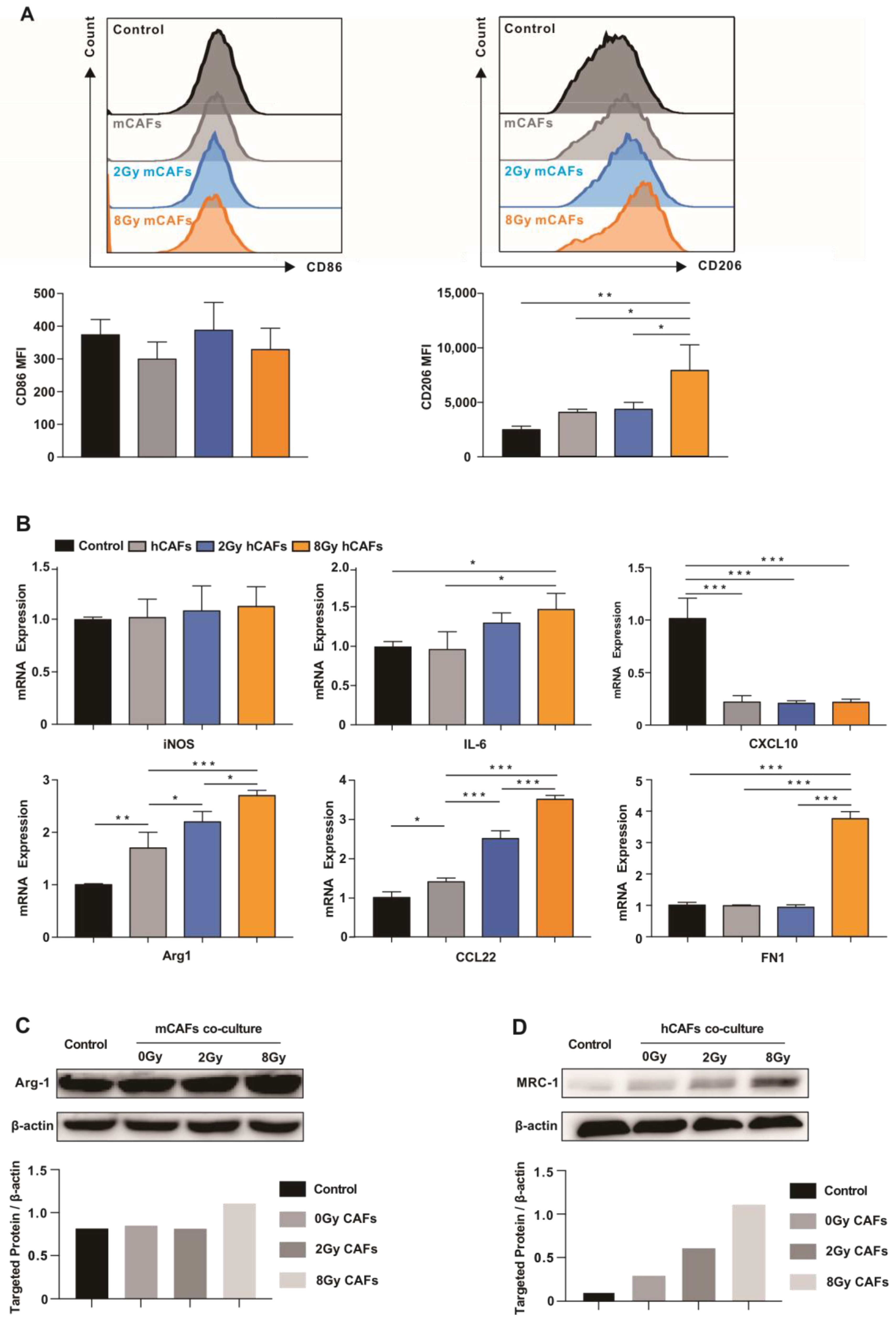 Cancers 15 01620 g004