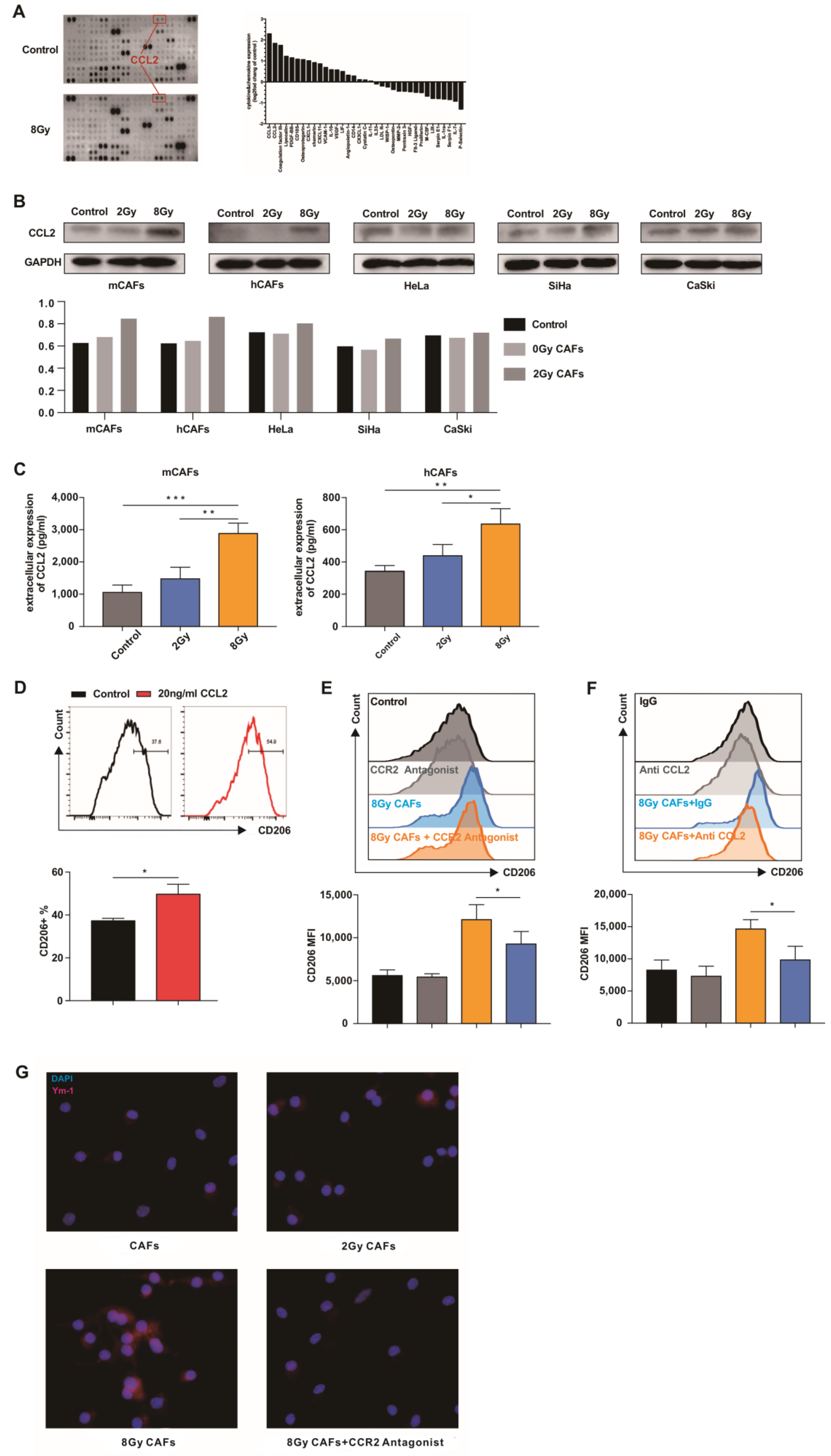 Cancers 15 01620 g005