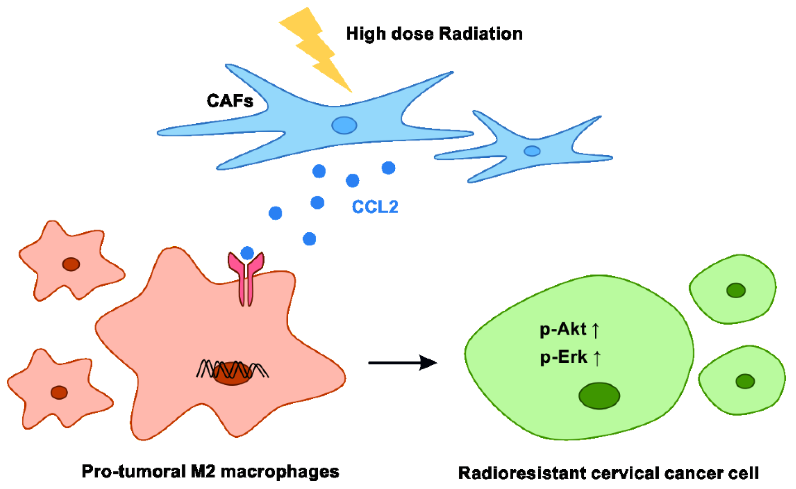 Cancers 15 01620 g006
