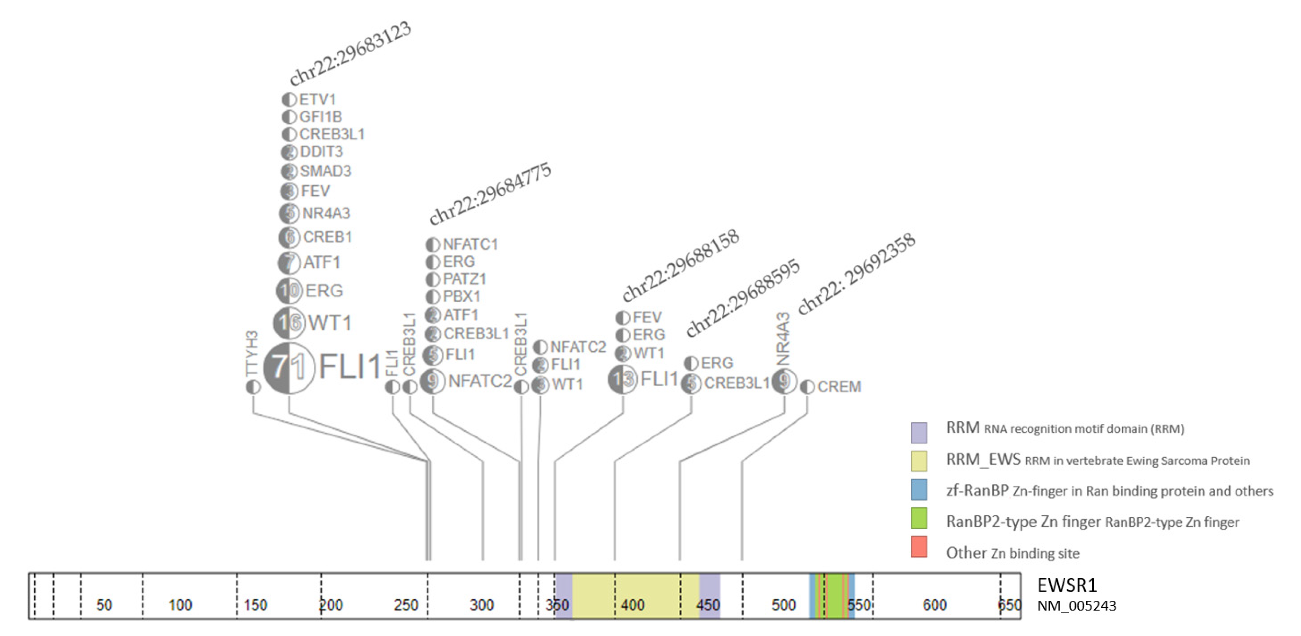 Cancers 15 01623 g002