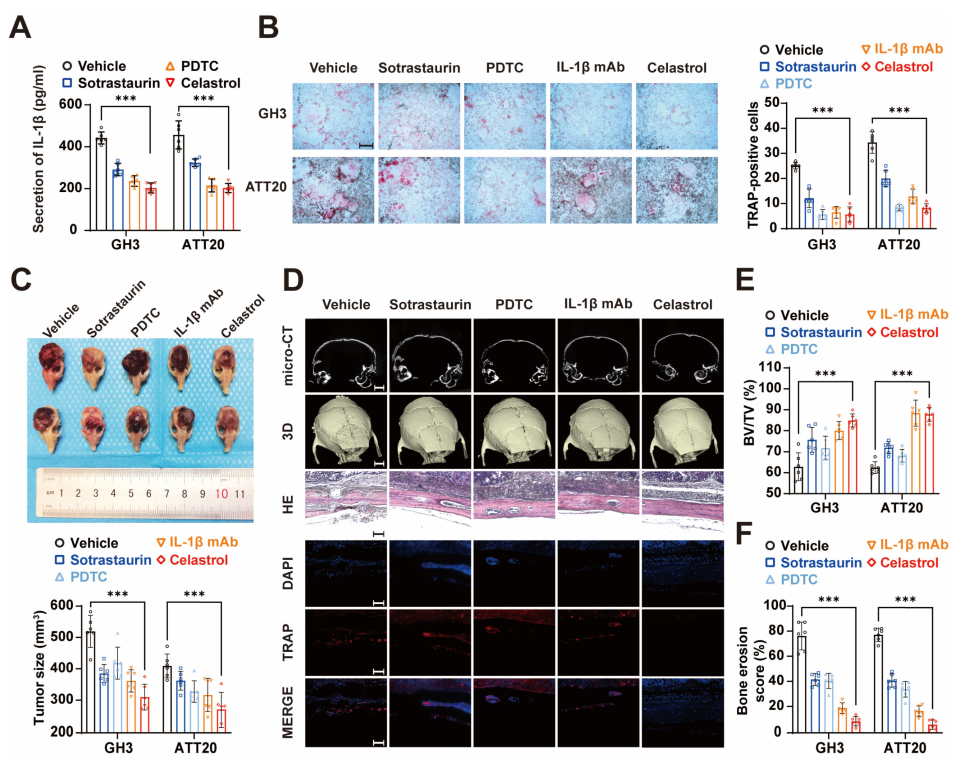 Cancers 15 01624 g006