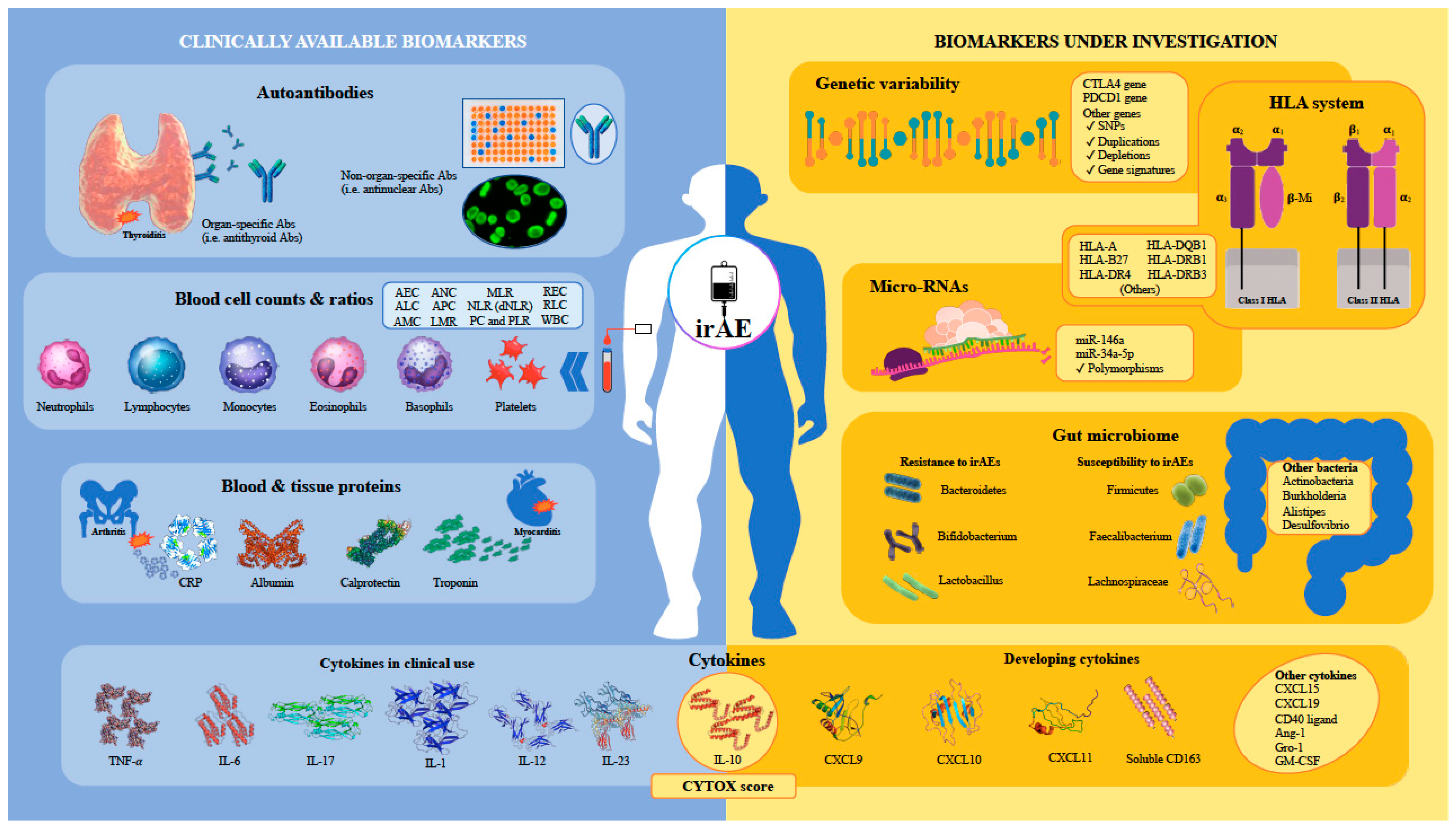 Cancers 15 01629 g001