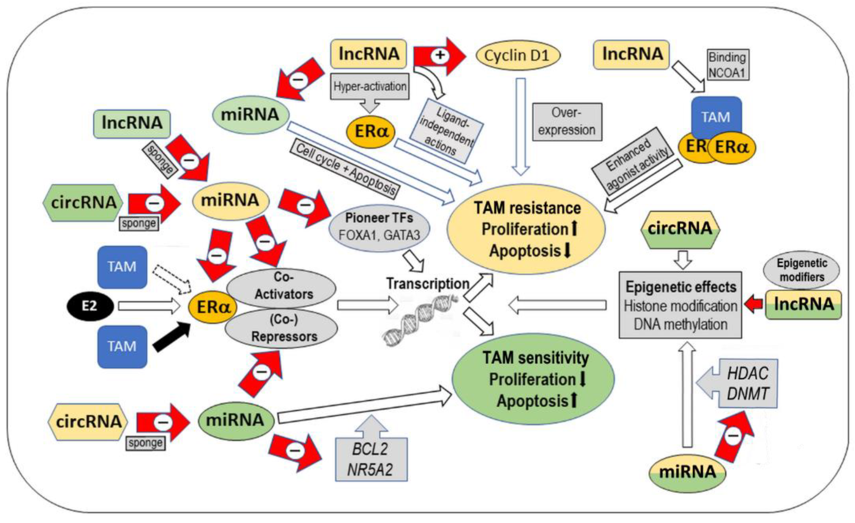 Cancers 15 01632 g001