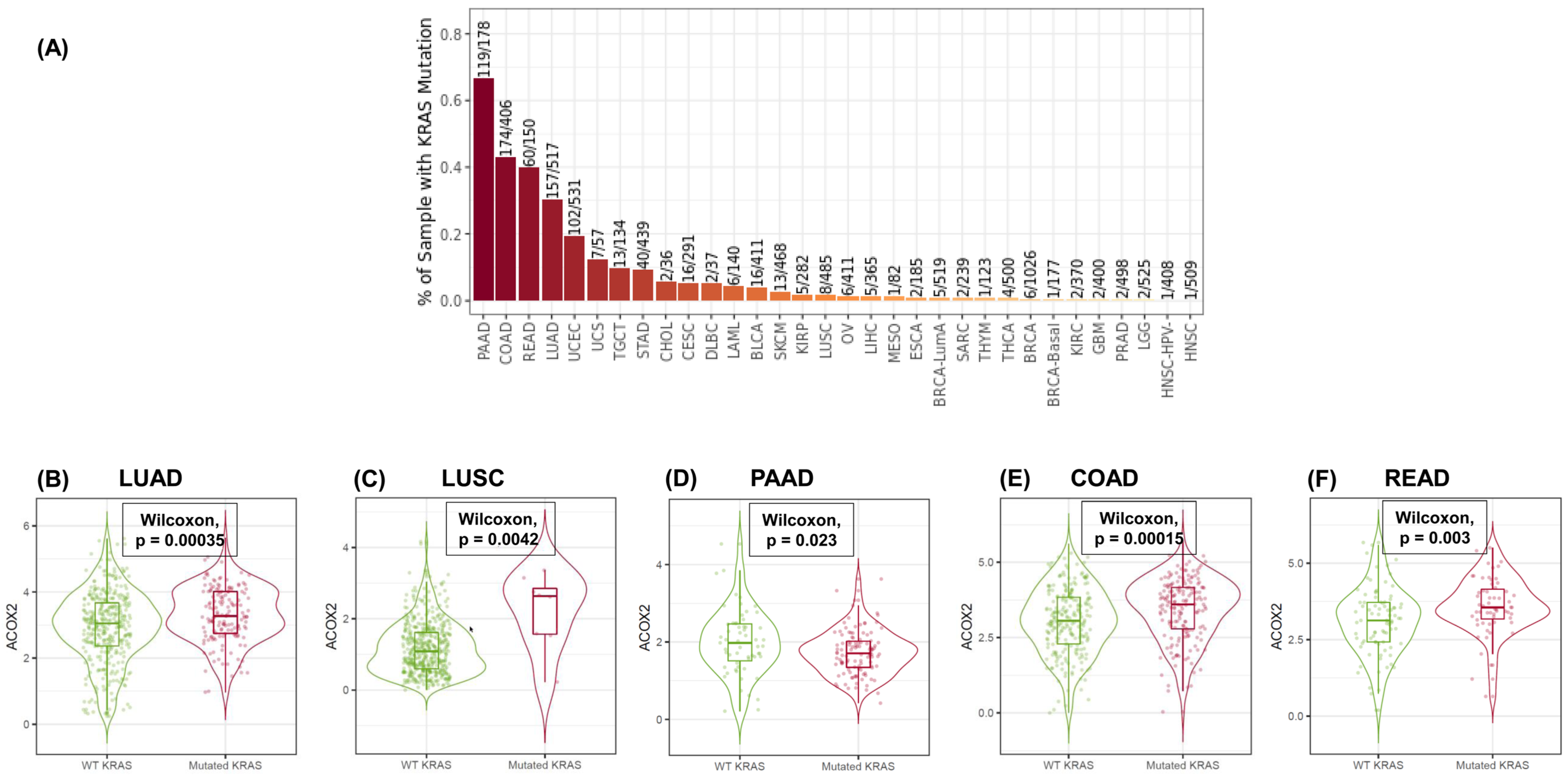 Cancers 15 01635 g005