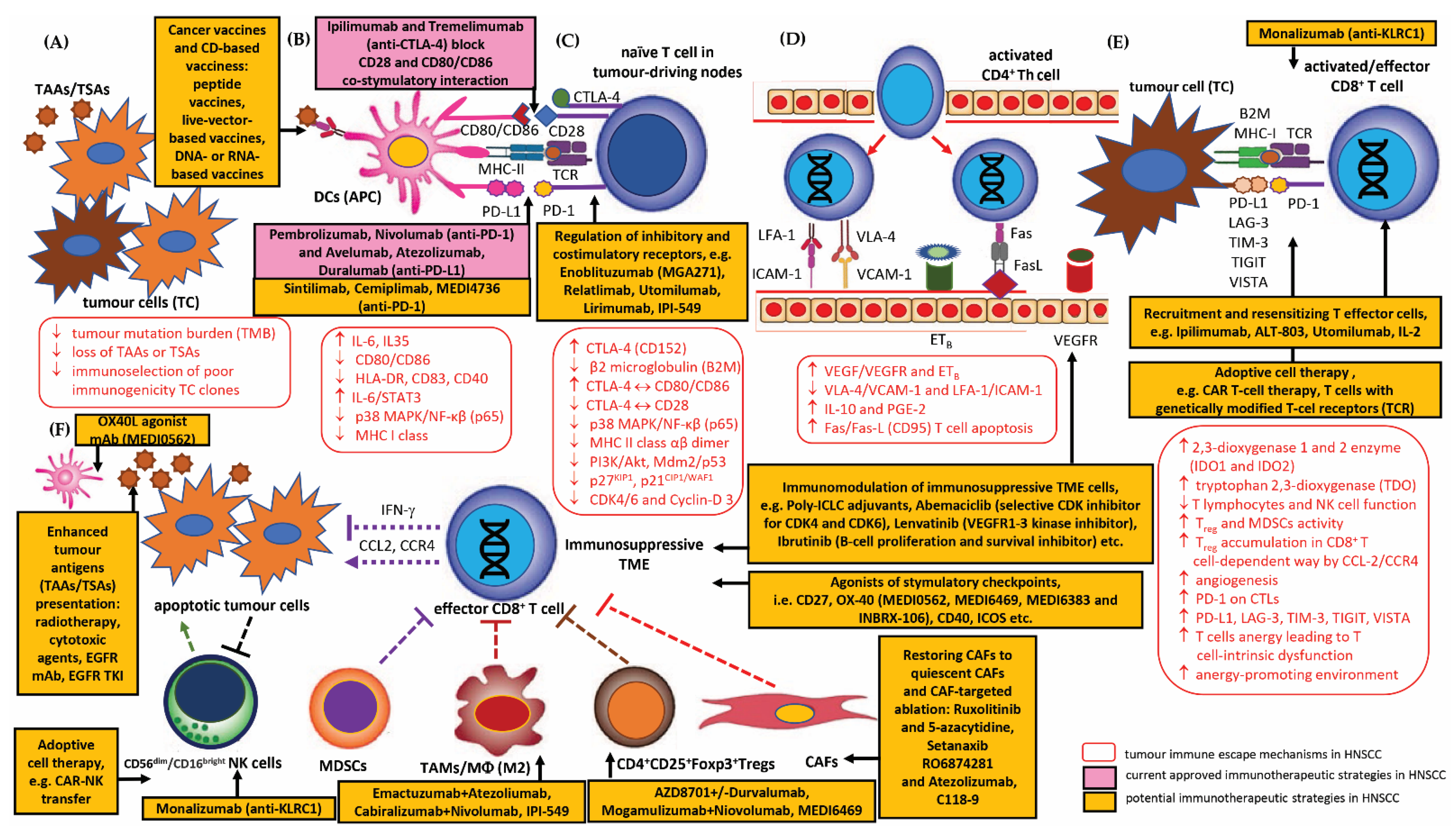 Cancers 15 01642 g002 Cancers 15 01642 g002