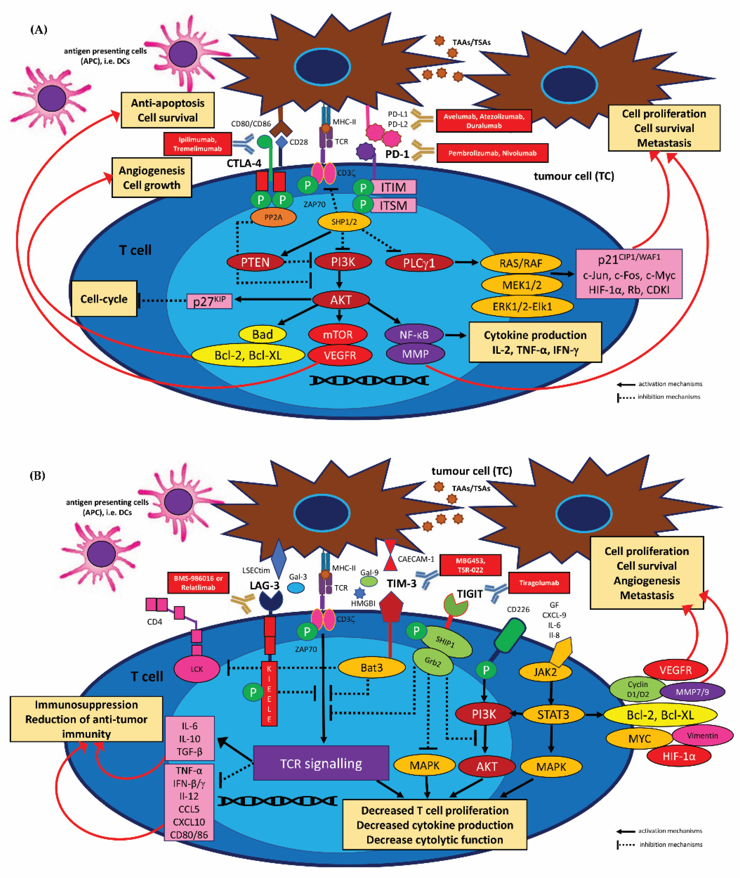 Cancers 15 01642 g003 Cancers 15 01642 g003