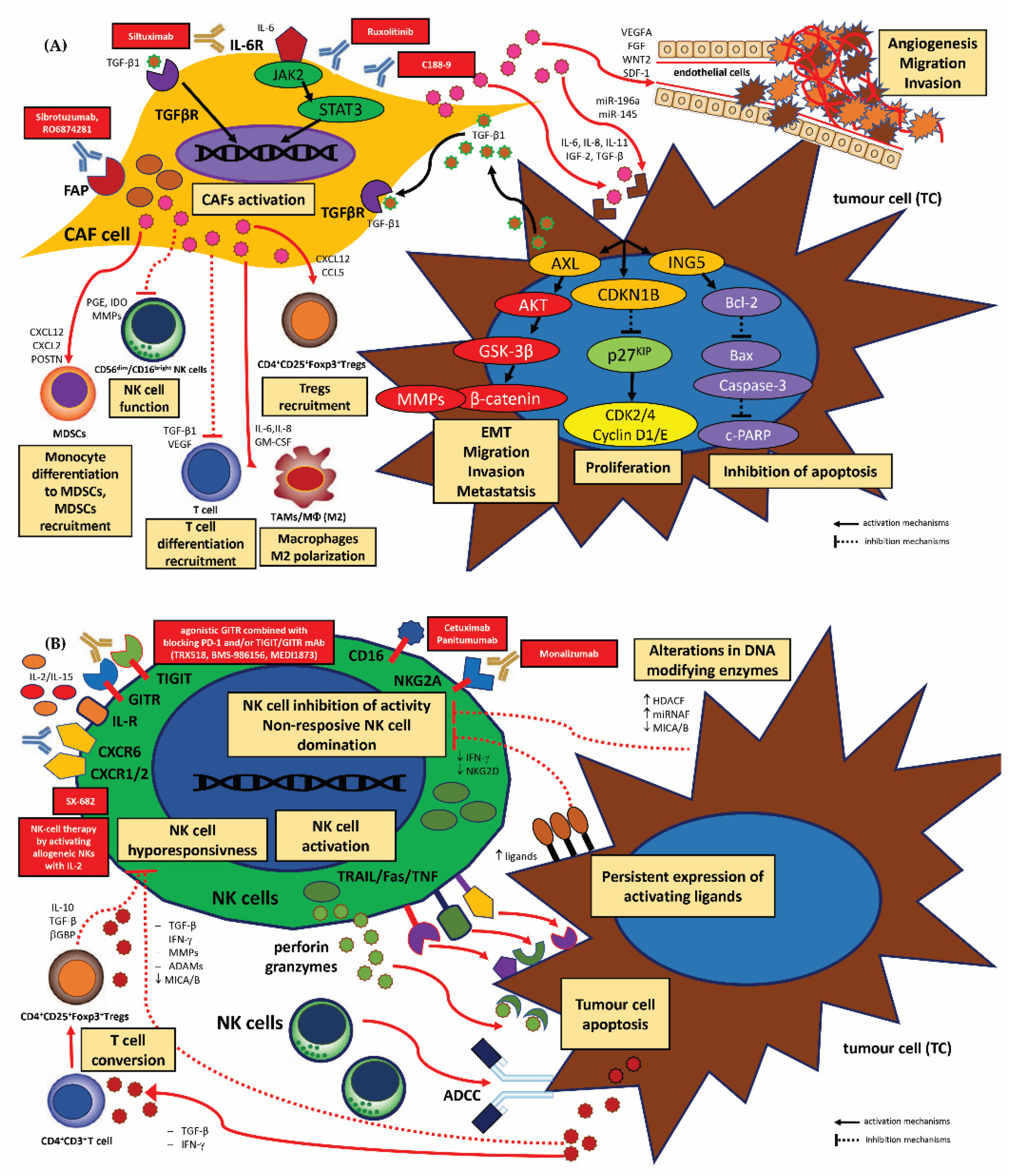 Cancers 15 01642 g004 Cancers 15 01642 g004