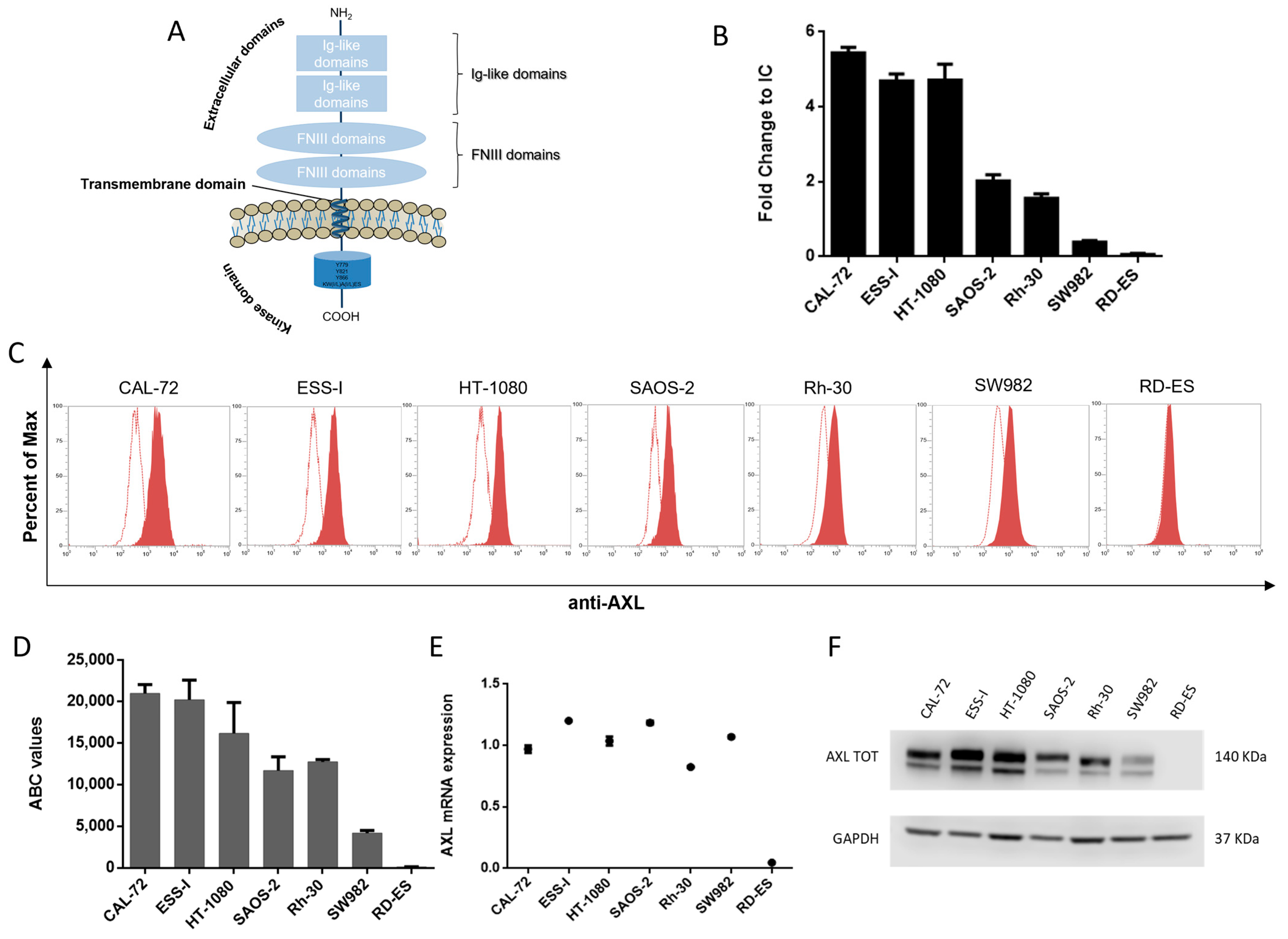 Cancers 15 01647 g001