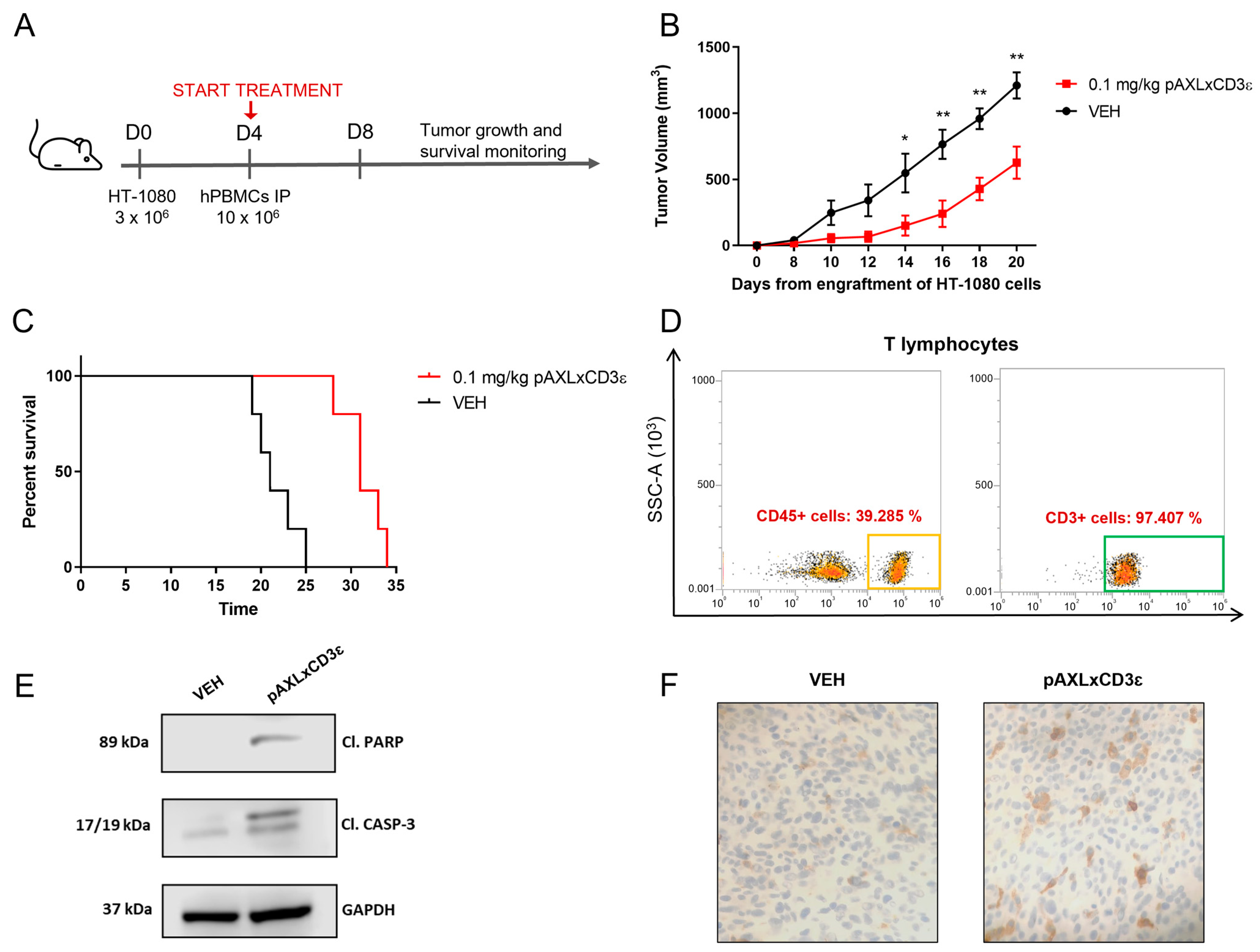 Cancers 15 01647 g006