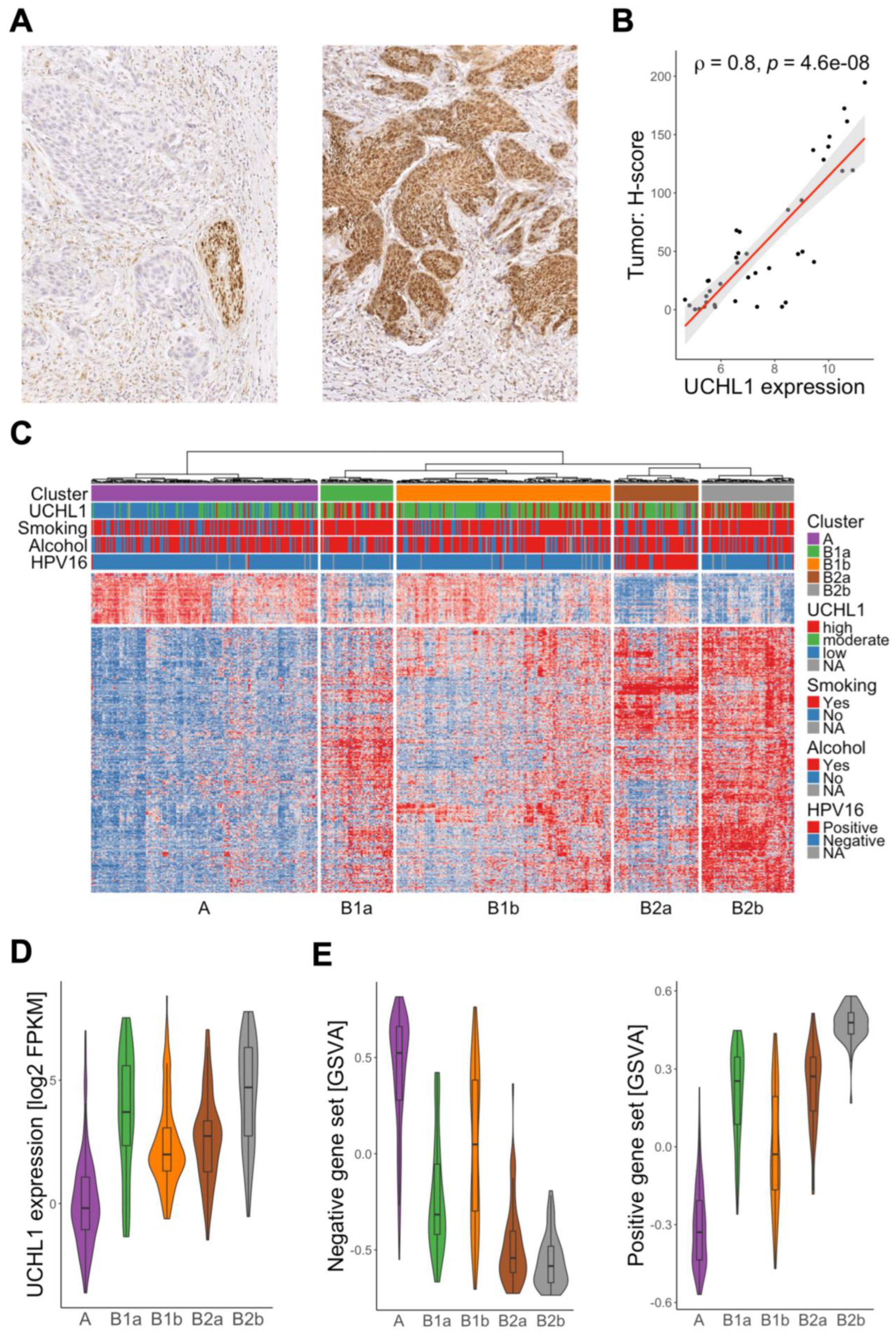 Cancers 15 01655 g001