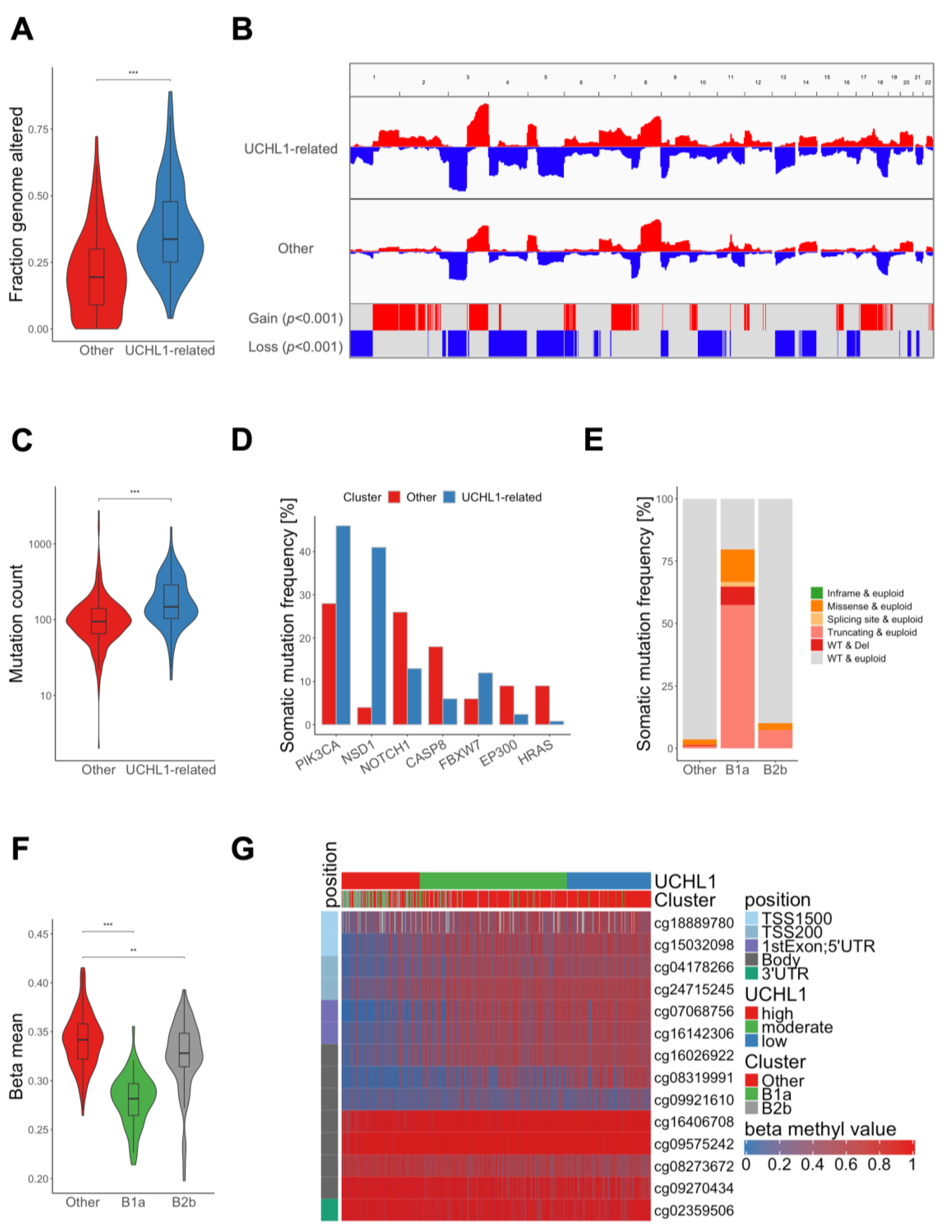 Cancers 15 01655 g002